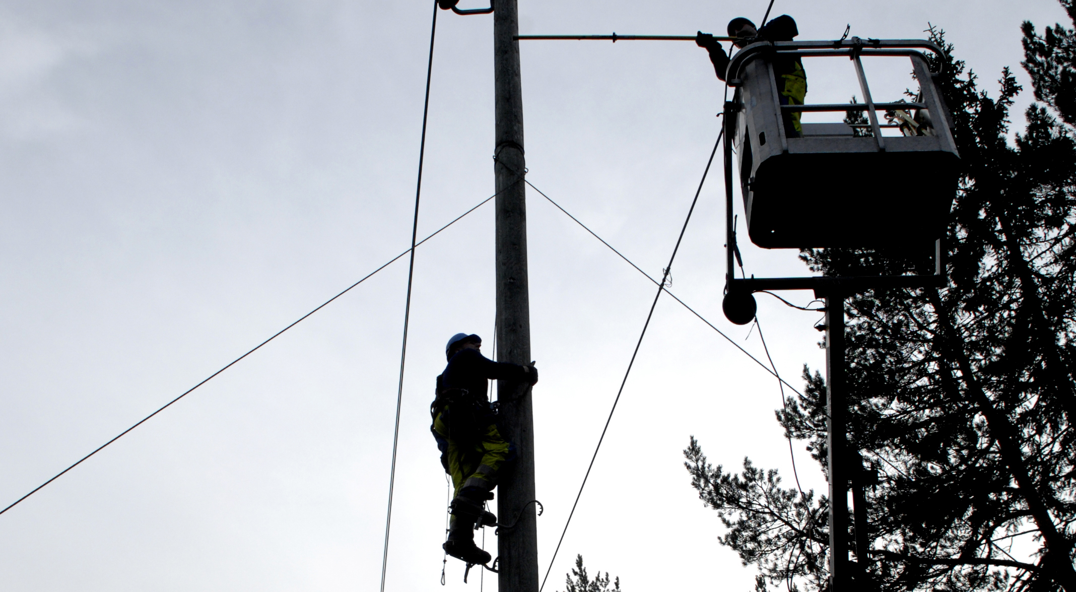 Två elarbetare i säkerhetsutrustning, en klättrar upp för en stolpe och den andra är i en skylift.