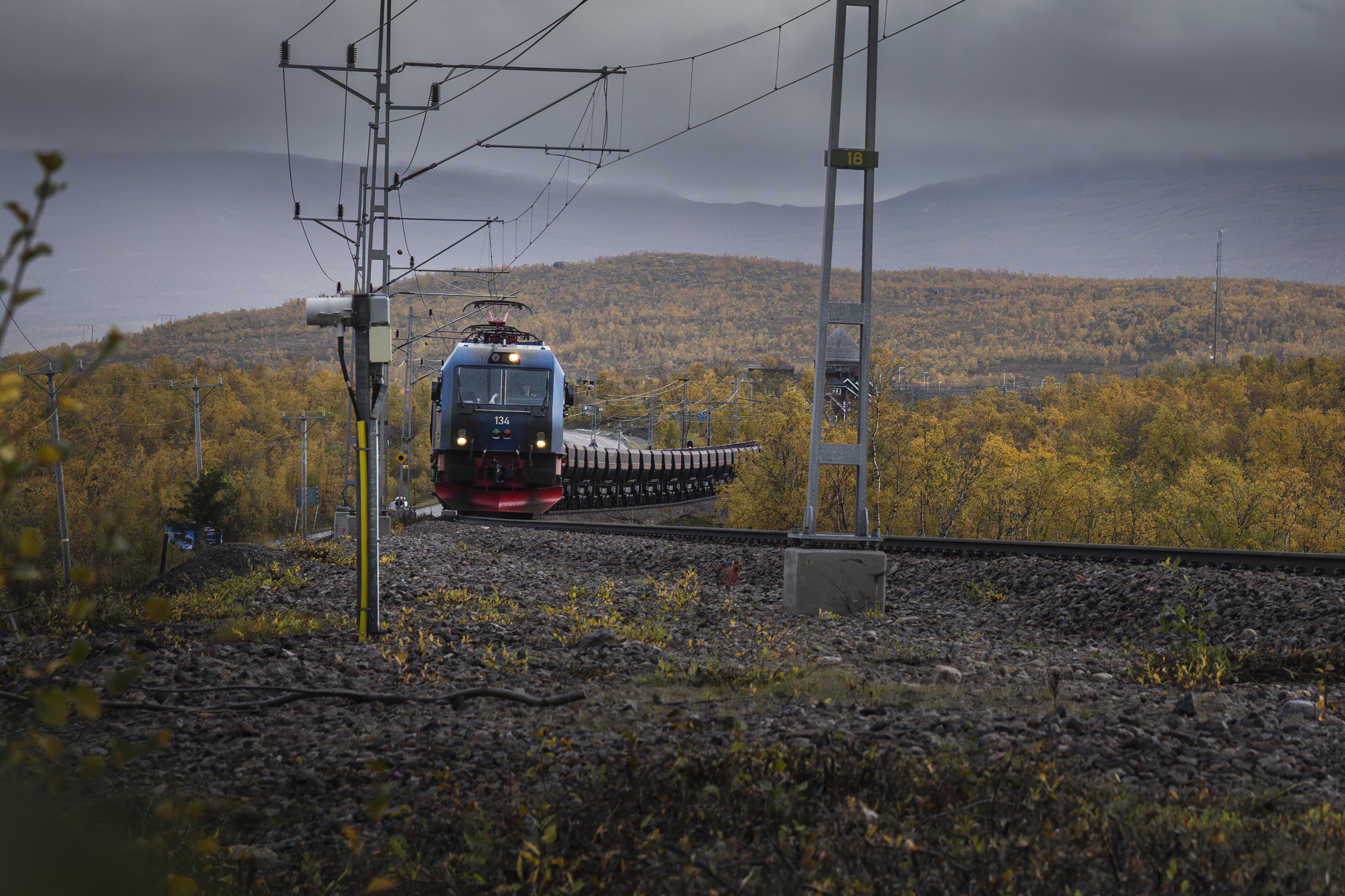 Tåg på räls omgivna av höstträd under en molnig himmel.