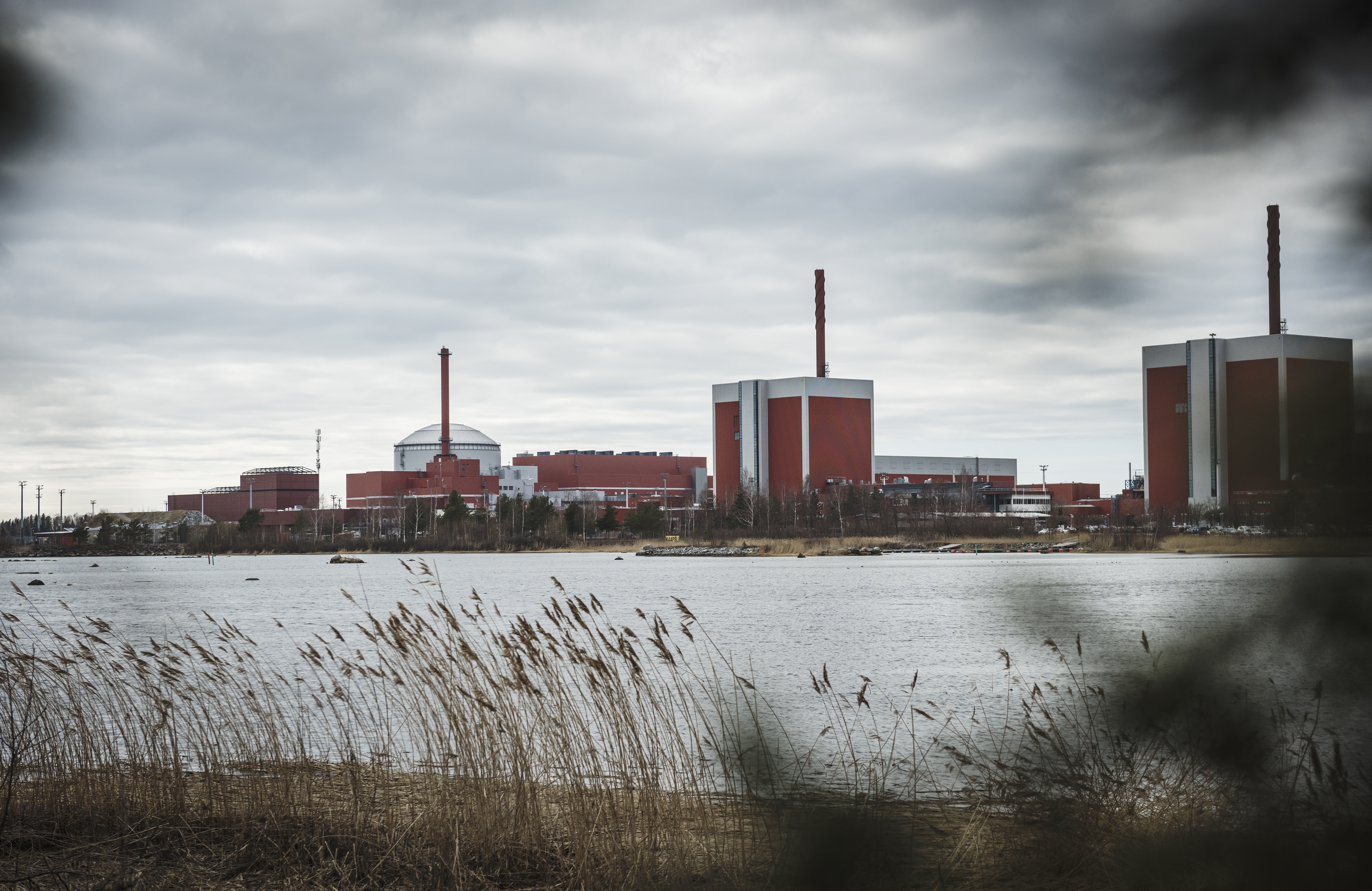 Vy över ett kärnkraftverk nära en vattensamling, omgiven av vass med molnig himmel.