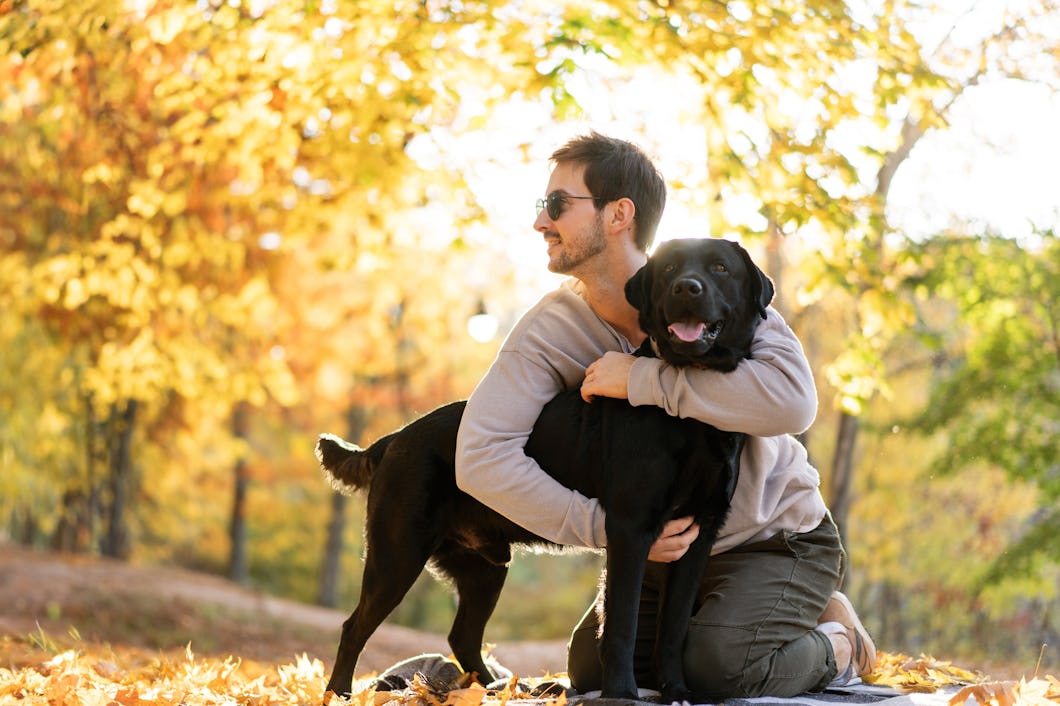 En man knäböjer på en filt i en park täckt av höstlöv och kramar en svart labrador.