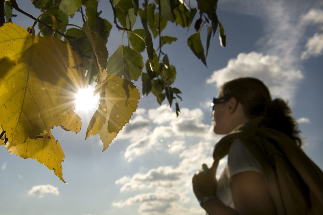 En kvinna med solglasögon tittar upp mot himlen genom gula löv medan solen lyser igenom dem.