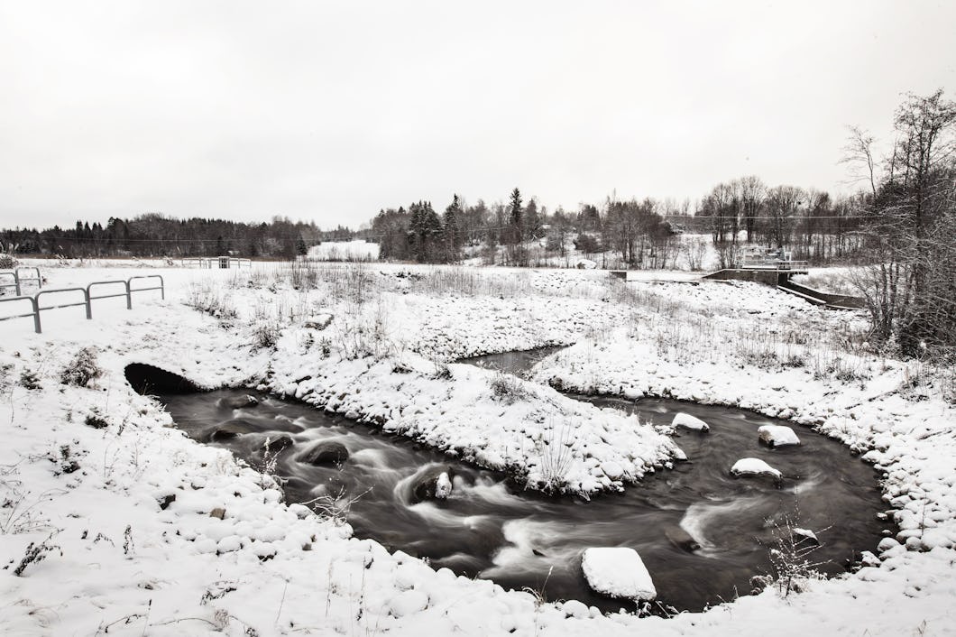 Bild på ett snötäckt landskap med en slingrande bäck omgiven av stenar. I bakgrunden finns träd och åkrar under en molnig himmel.