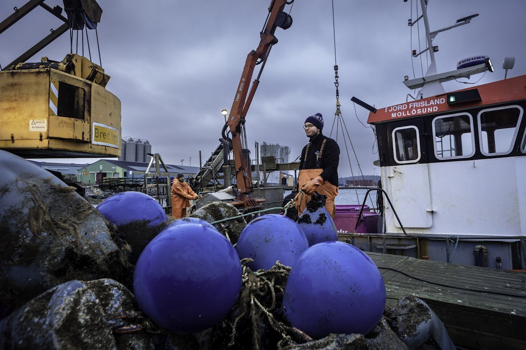 En arbetare i orange overall står på en brygga nära stora blå bojar och fiskeredskap, med en kran och en båt märkt "Fjord Frisland Mollösund" i bakgrunden.