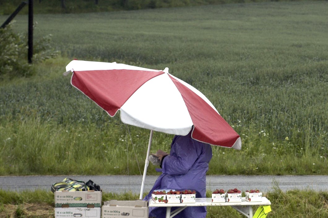 En person i regnrock står under ett rött och vitt parasoll och säljer jordgubbar från ett bord vid en gräsbevuxen äng.