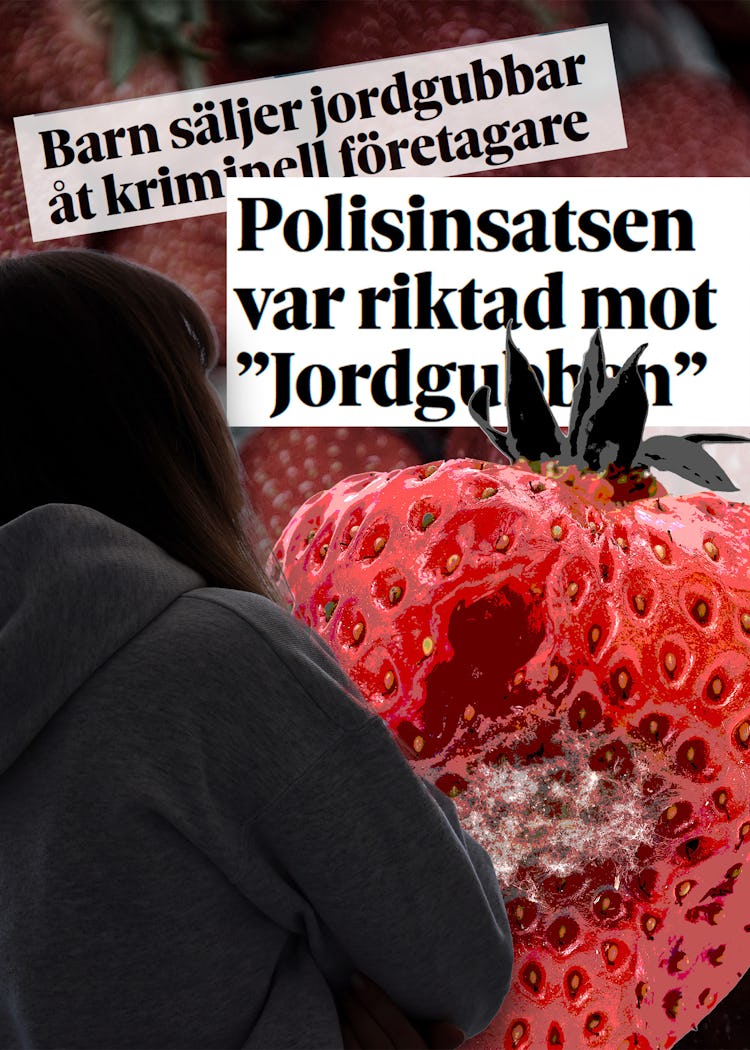En person står framför en stor jordgubbe. I bakgrunden syns svenska tidningsrubriker om polisinsats och olaglig jordgubbsförsäljning ovanpå en yta med jordgubbar.