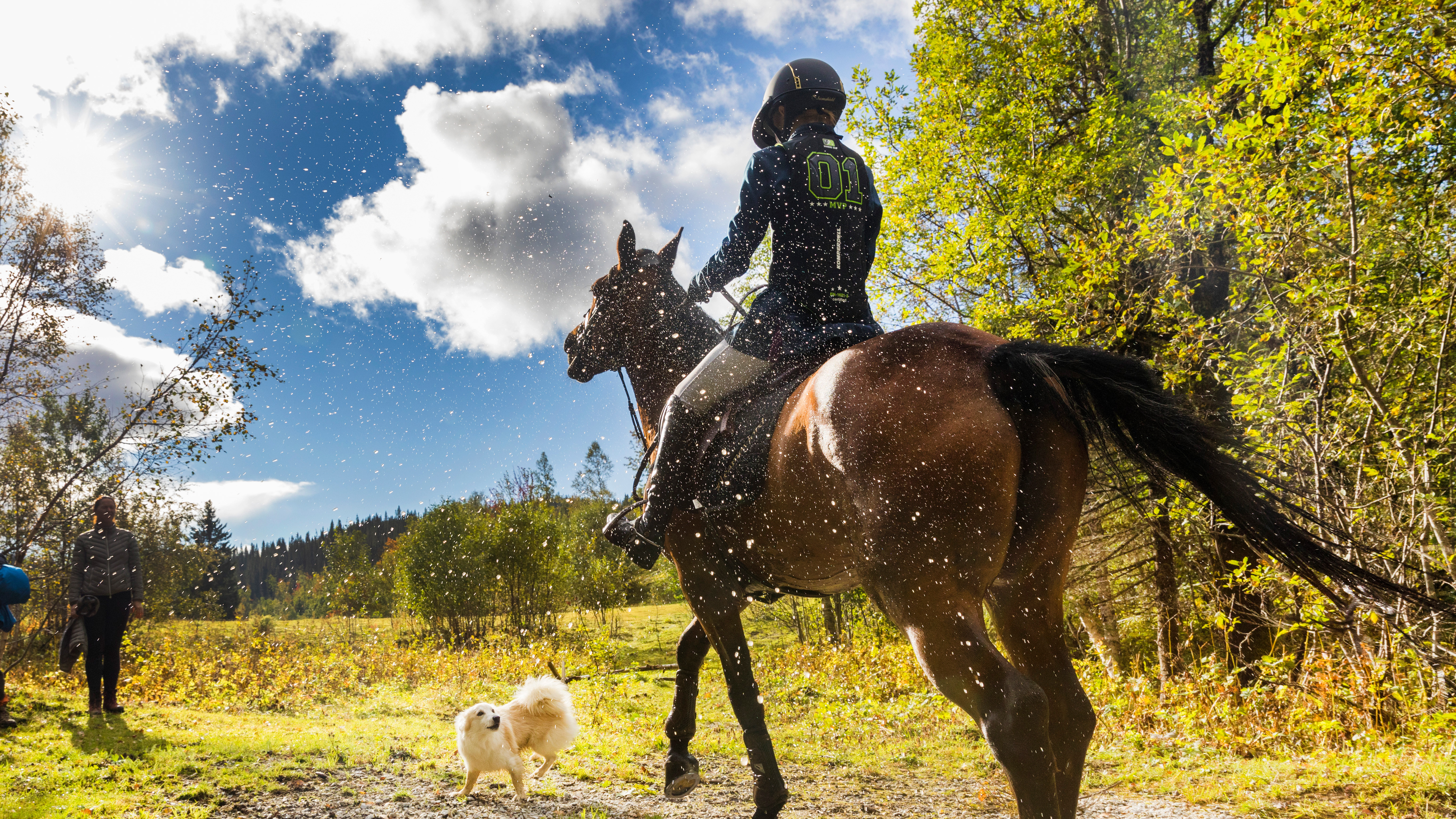 En person rider på en häst i ett gräsområde, en liten vit hund är nära och det finns vattendroppar i luften. Träd och moln syns i bakgrunden.
