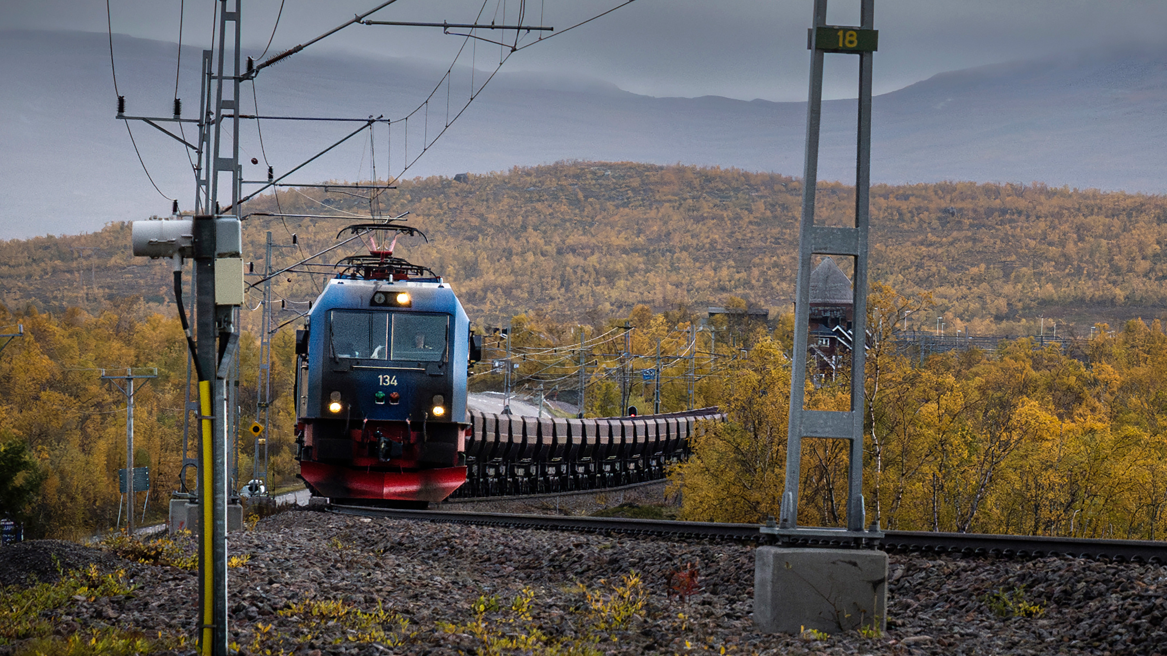 Ett godståg kör på en malmbanan genom ett kuperat landskap med träd i höstfärger under en molnig himmel.