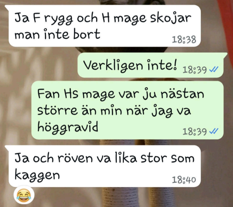 Svenska chattar skämtar om någons rygg, mage och rumpa jämfört med graviditet och använder skrattande emojis.