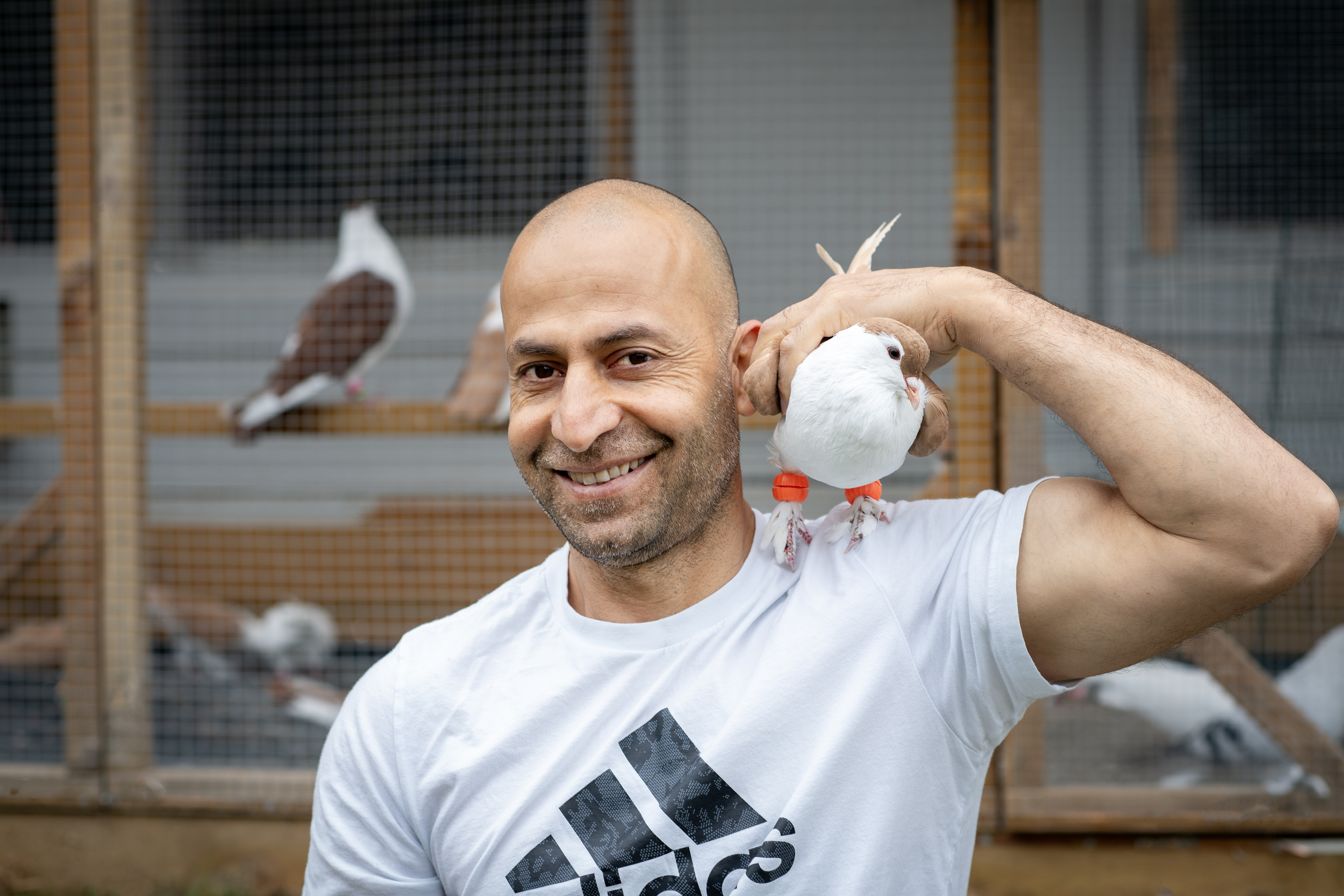 En man i vit Adidas-t-shirt håller en duva på axeln och fler duvor syns i en utomhusbur i bakgrunden.