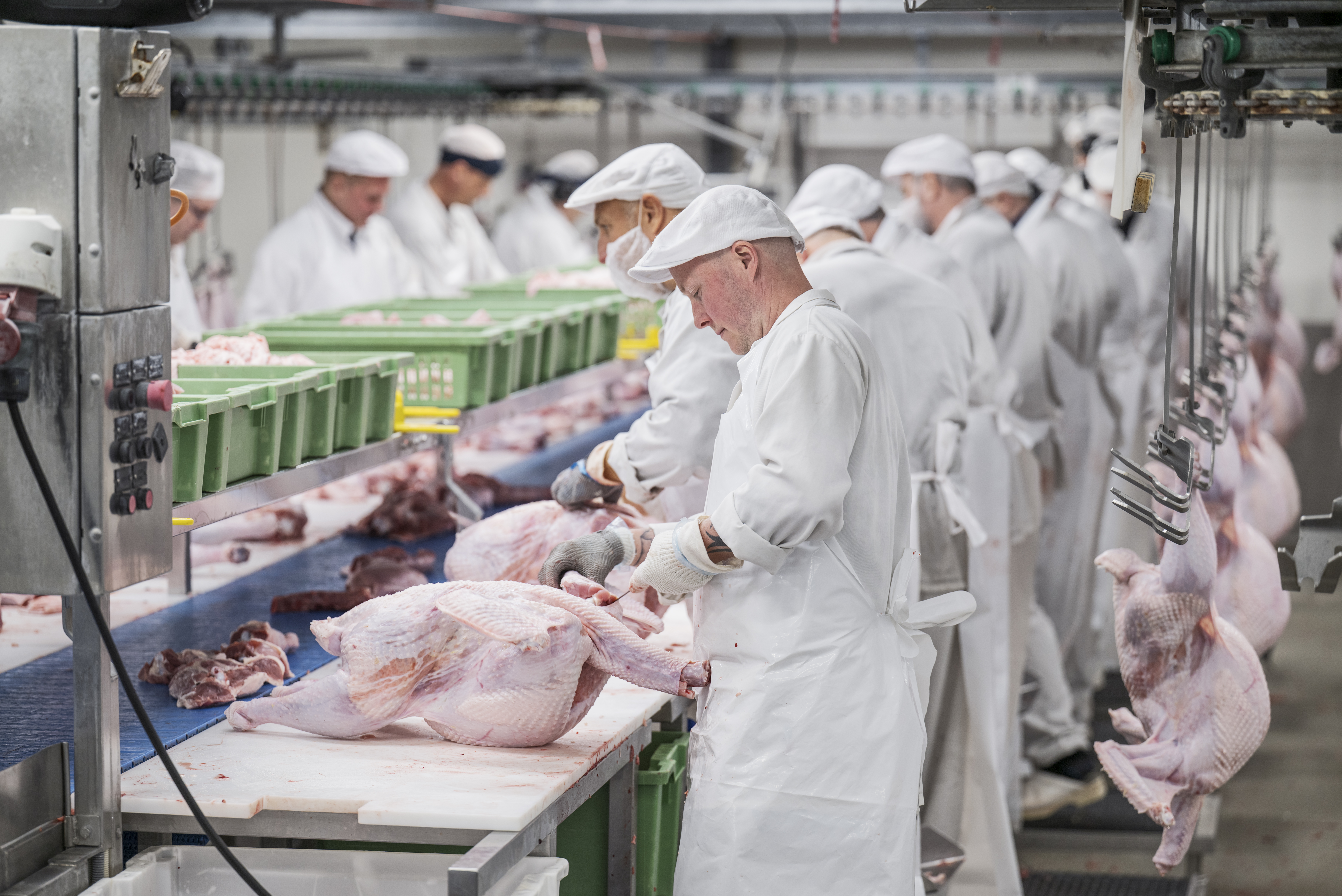 En samling personer i arbetskläder, bland annat Viktor Lidholm, arbetar med styckning.