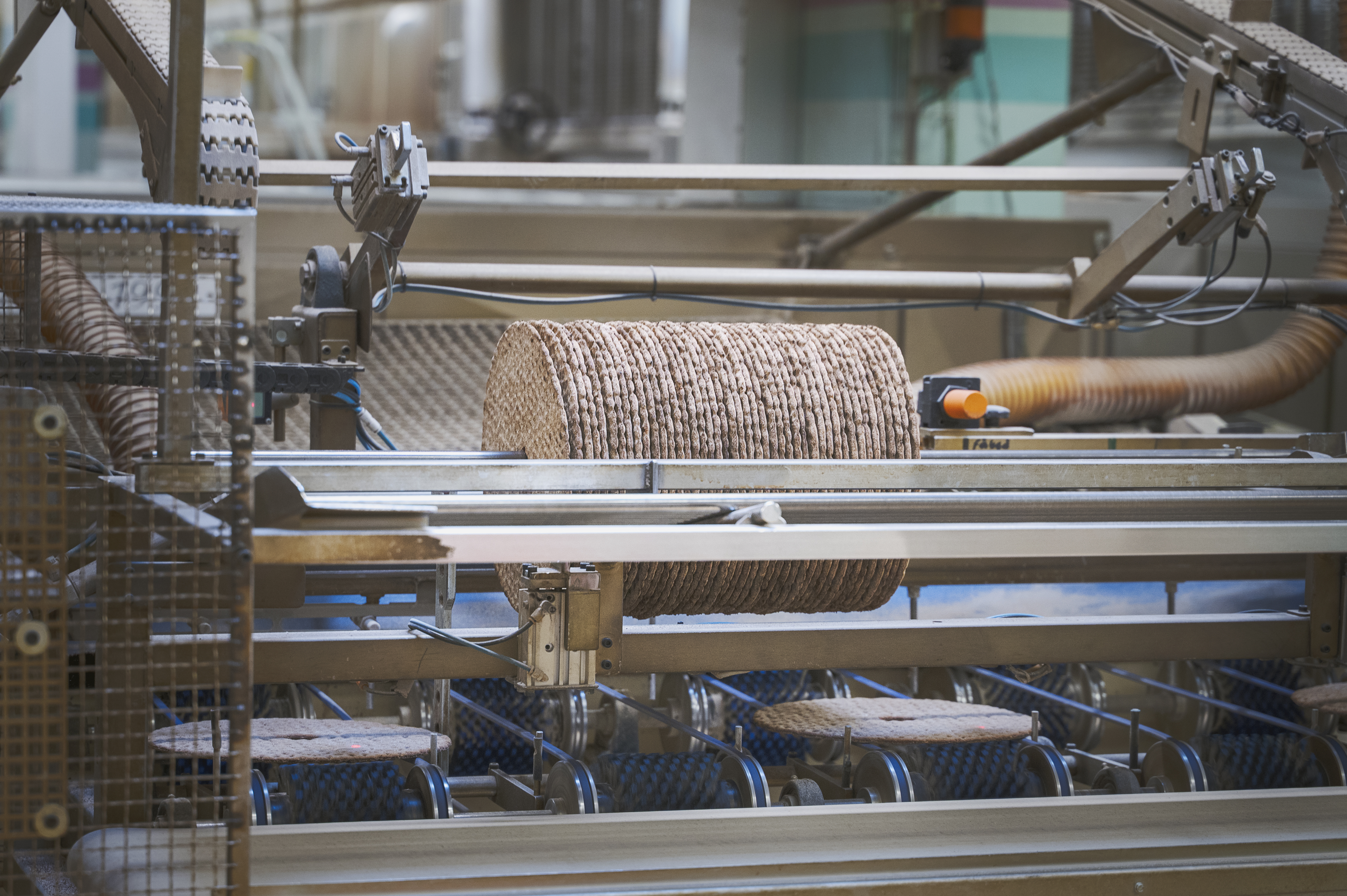 Runda knäckebrödskakor bearbetas av en automatisk maskin i en fabrik.