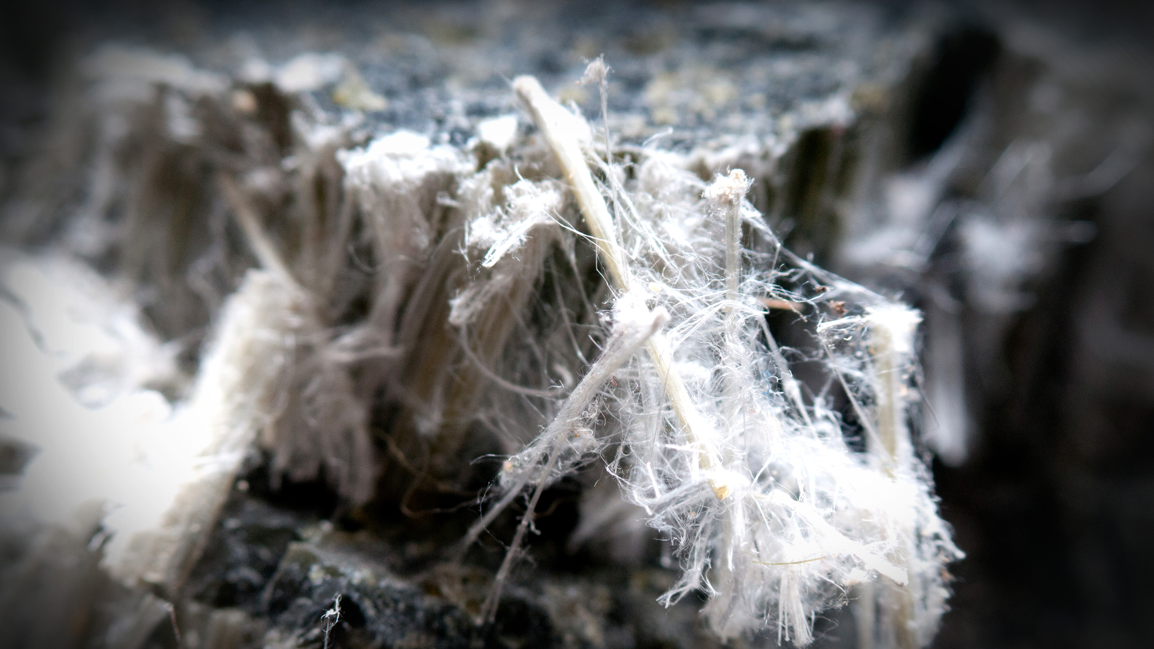 Vita asbestfibrer som sticker ut från en stenytas struktur.