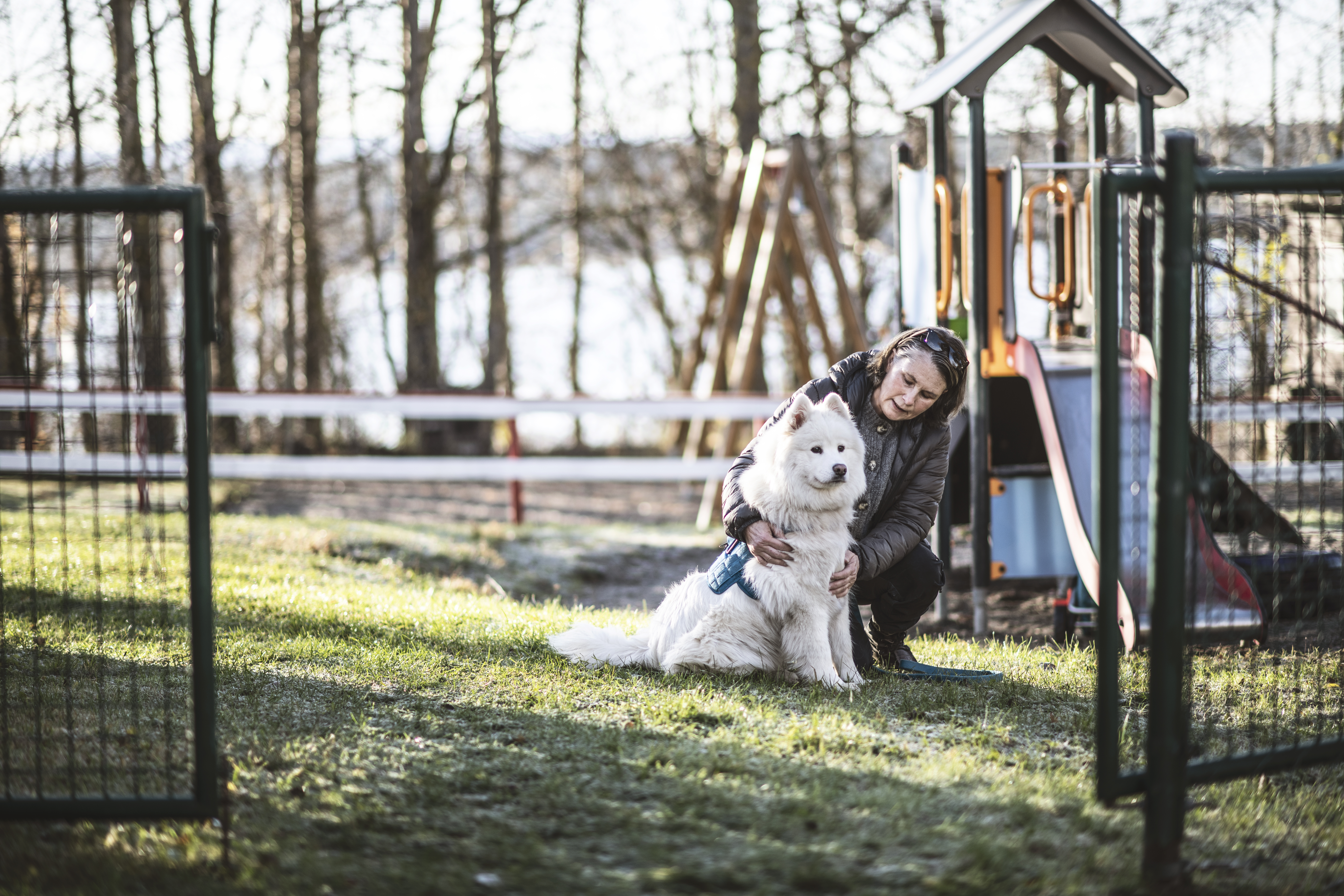 En person sitter på knä i gräset bredvid en vit hund i en park, med lekutrustning och träd i bakgrunden.