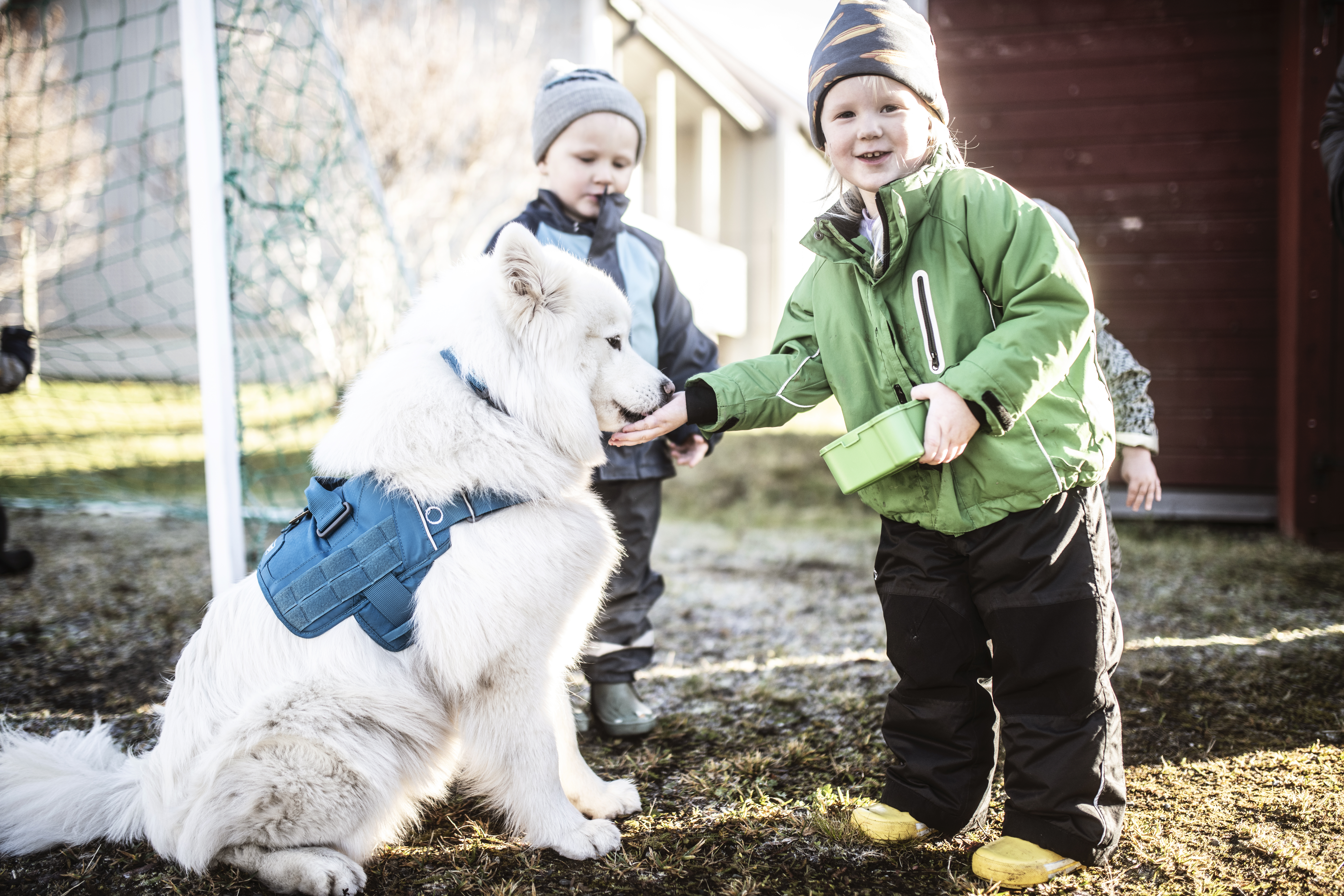 Två barn utomhus med en vit hund i blå sele; ett barn matar hunden ur en grön behållare.