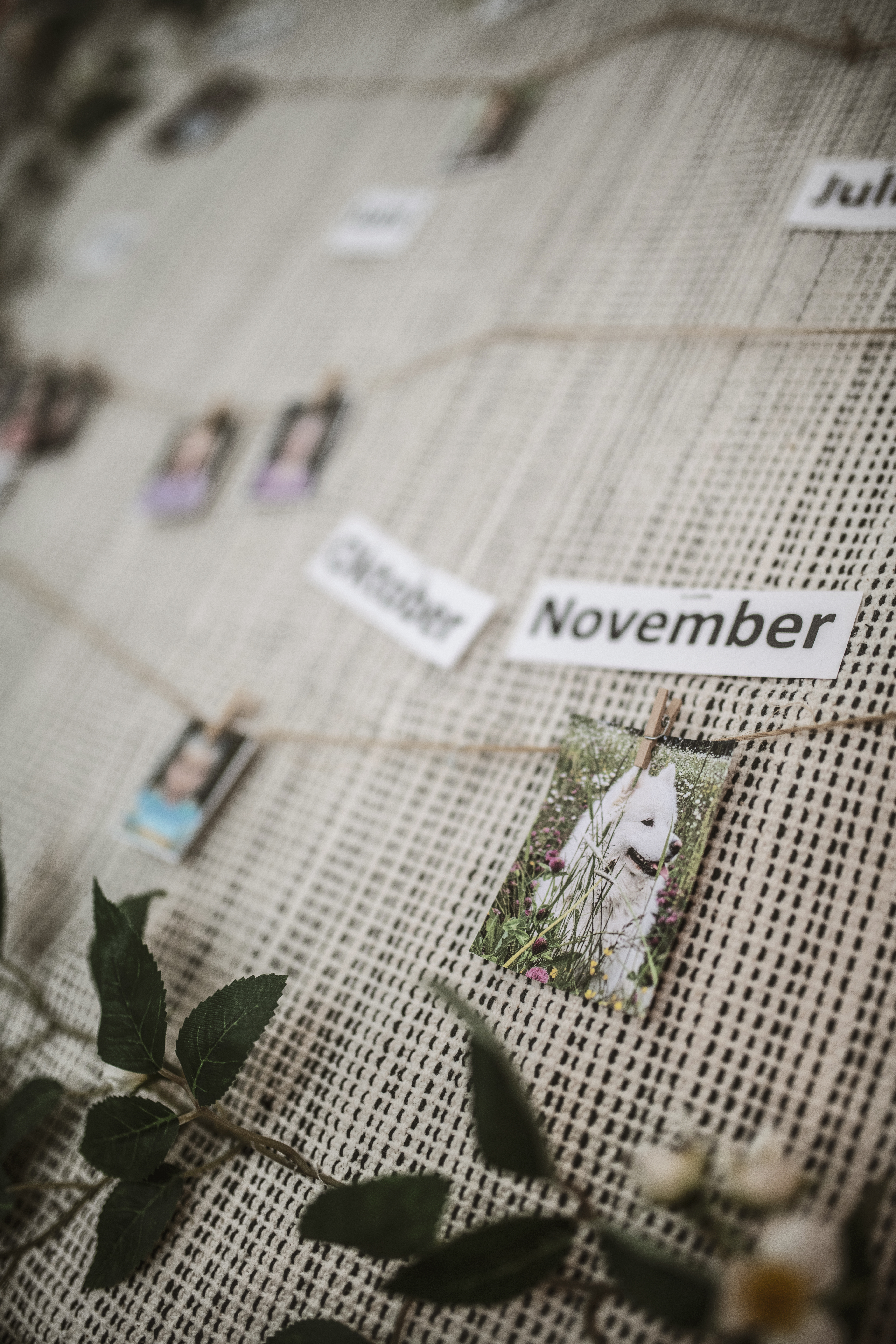 En anslagstavla med foton fastsatta på snören, märkta månader som "October" och "November", och ett novemberfoto med en hund i gräs.