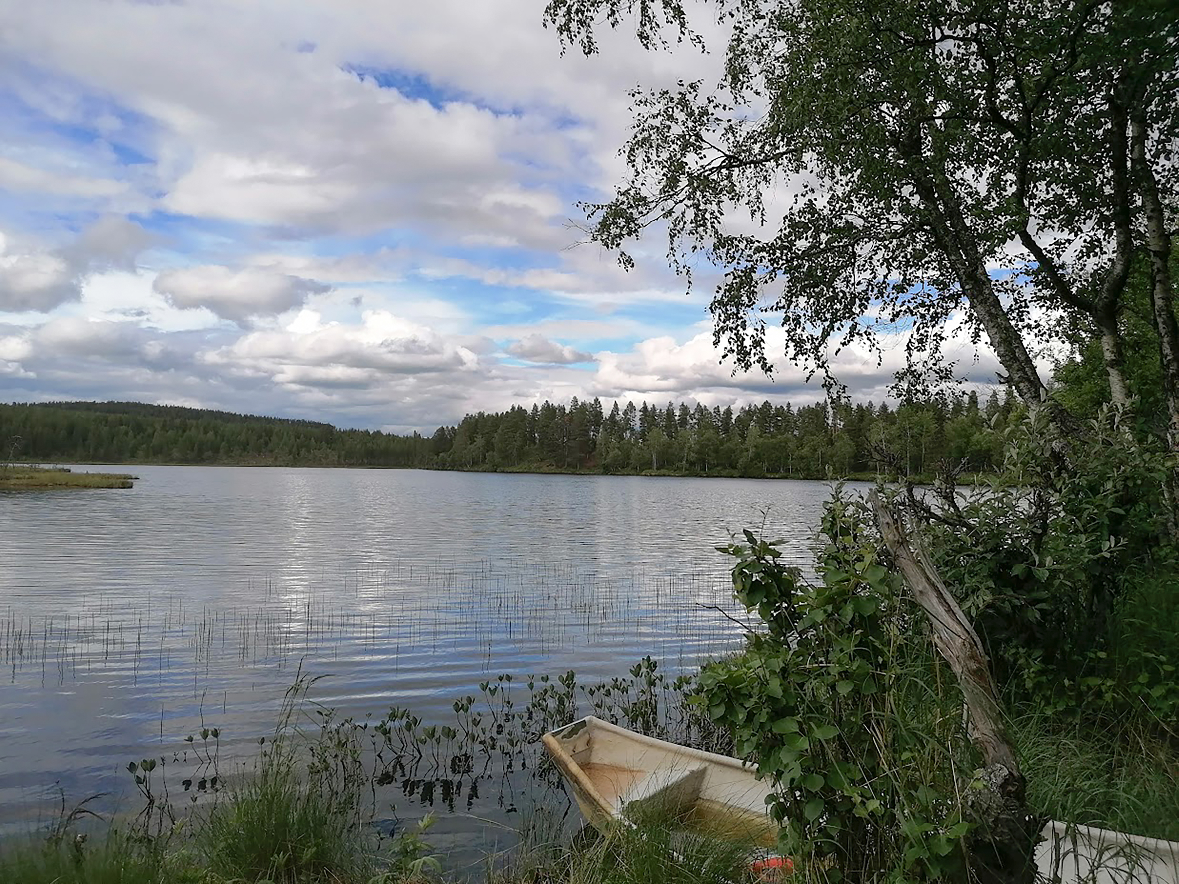 En sjö omgiven av träd under en delvis molnig himmel, med en liten träroddbåt vid gräsbevuxen strand i förgrunden.