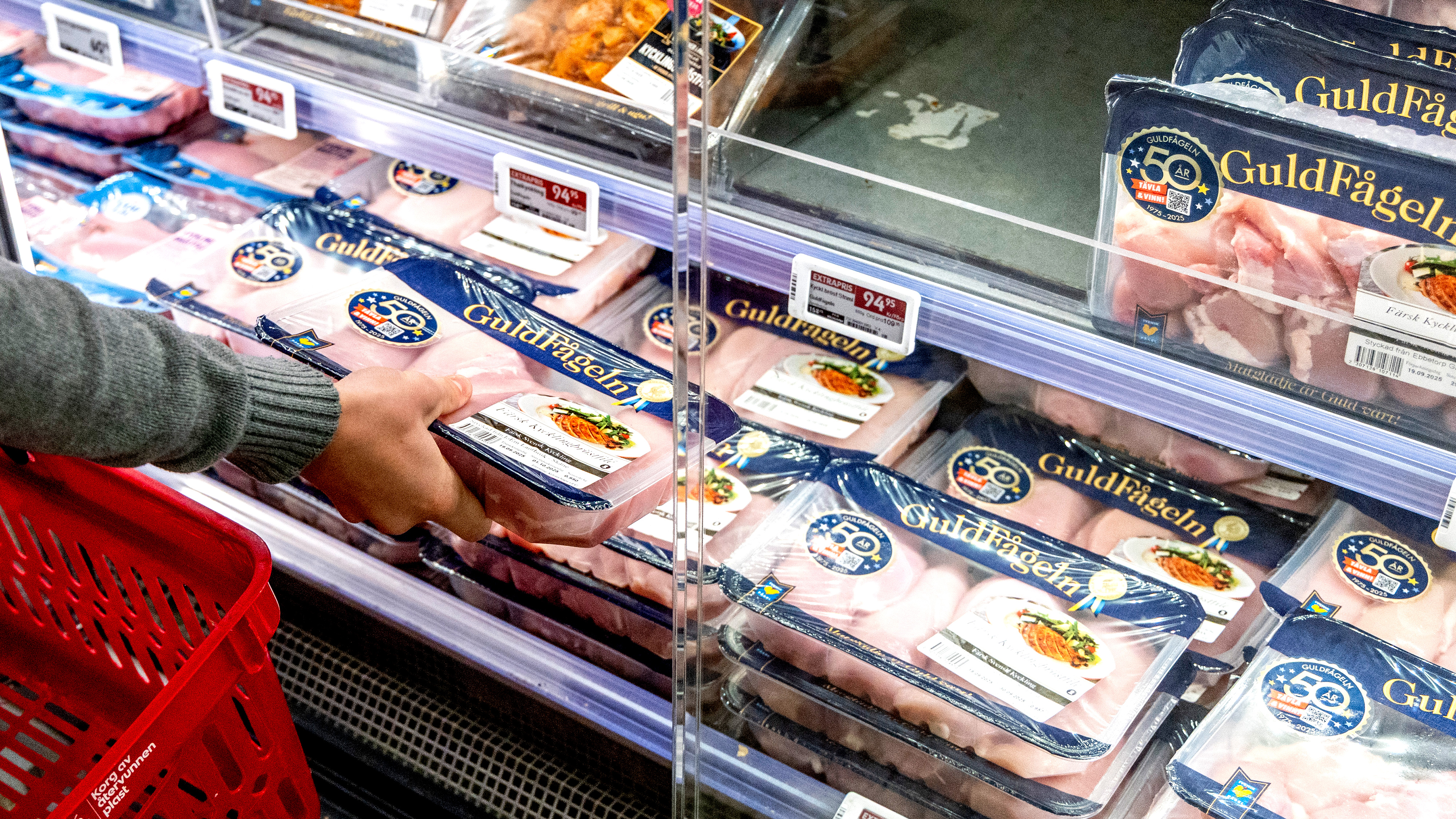 En person tar en förpackad bricka med kyckling från en kyl med kött i en mataffär.