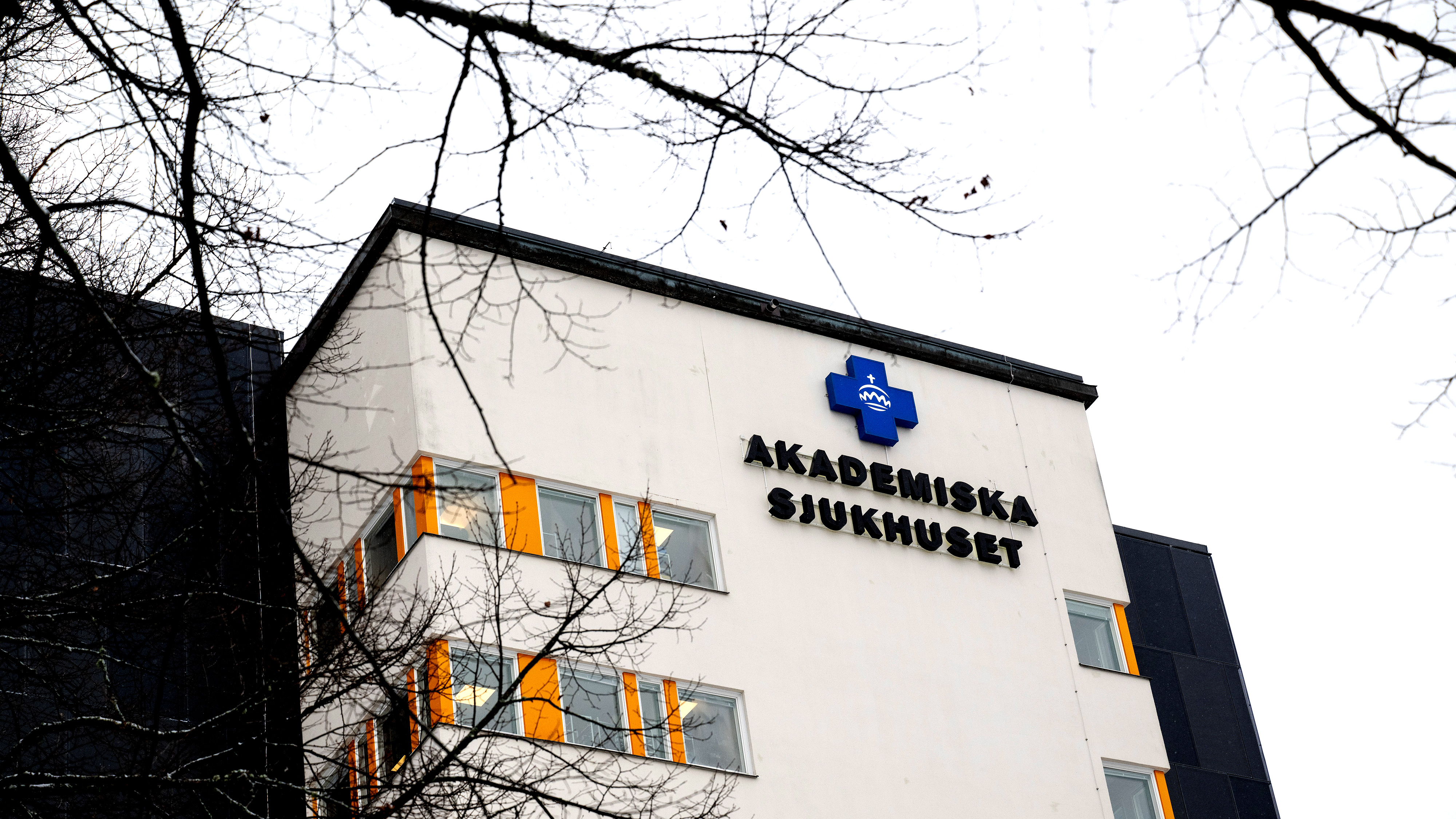 Akademiska Sjukhusets utsida, en sjukhusbyggnad med blått medicinkors och orange fönsterramar, sedd genom trädgrenar.