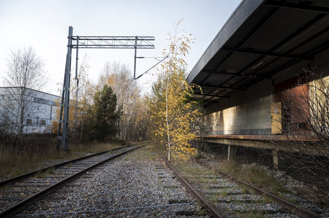 Ett tågspår ligger bredvid en byggnad. Mitt på spåret växer en liten björk.