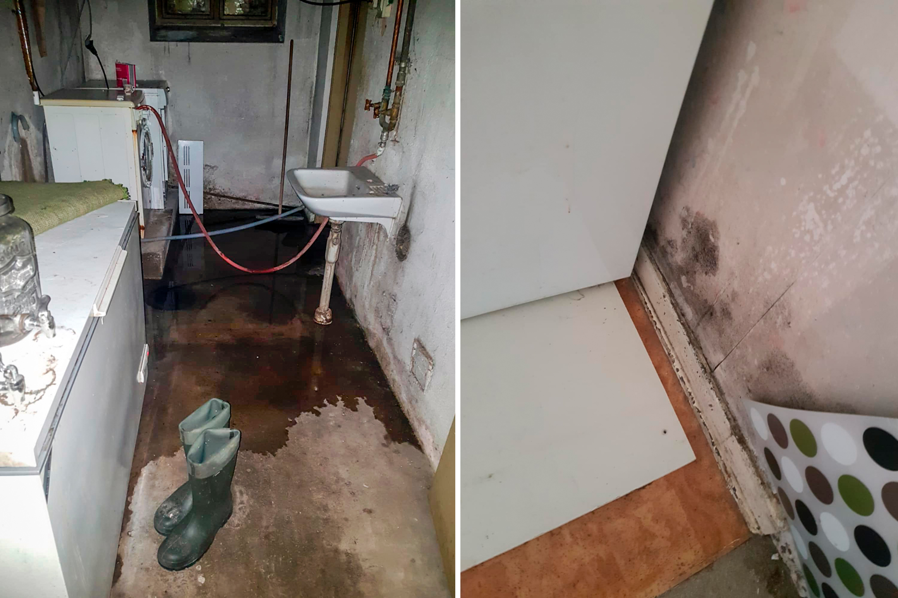 Två foton visar en källare med vatten på golvet, gummistövlar och synligt mögel på en vägg.