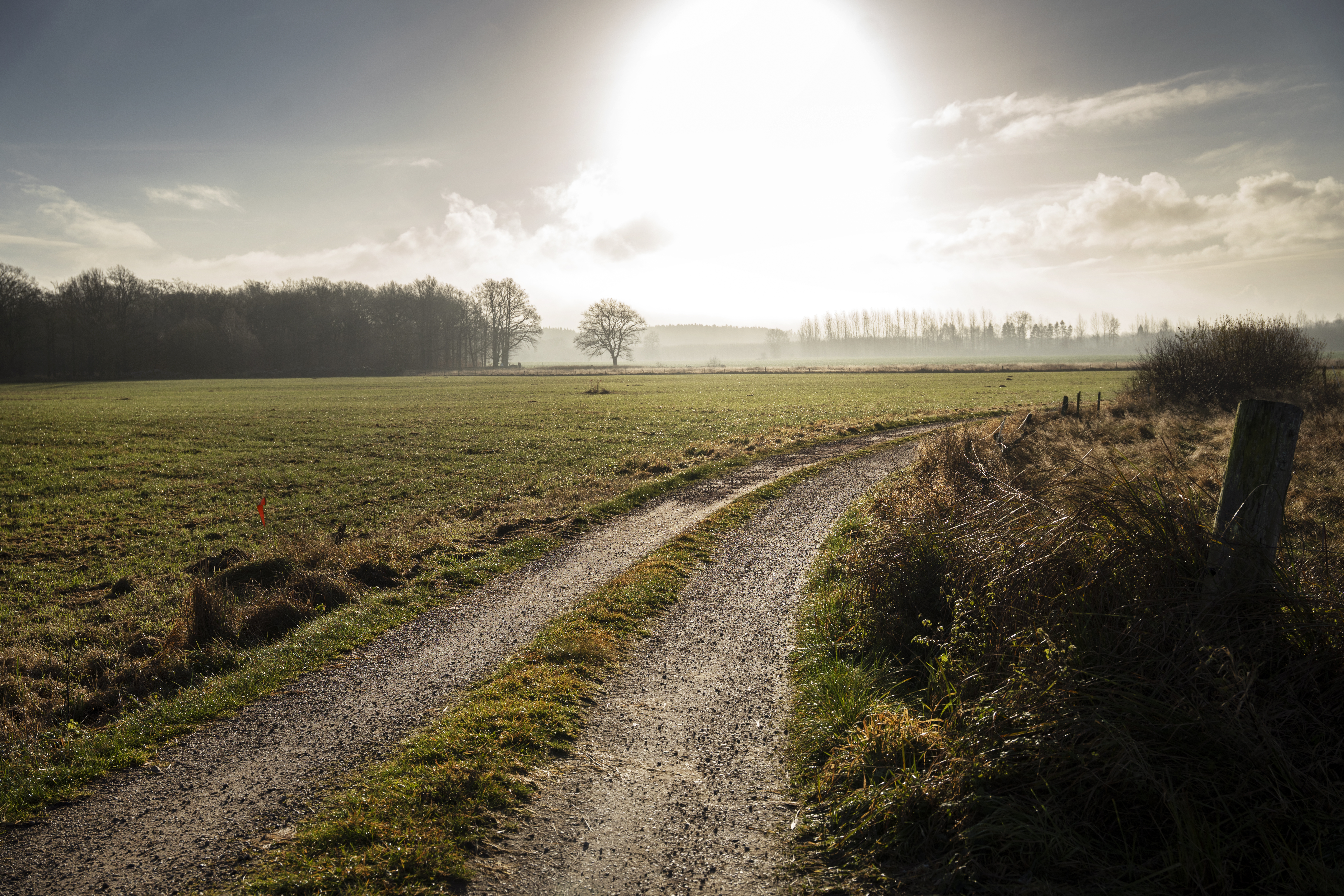 En grusväg slingrar sig genom ett fält med gräs under solen, med träd och moln i bakgrunden.