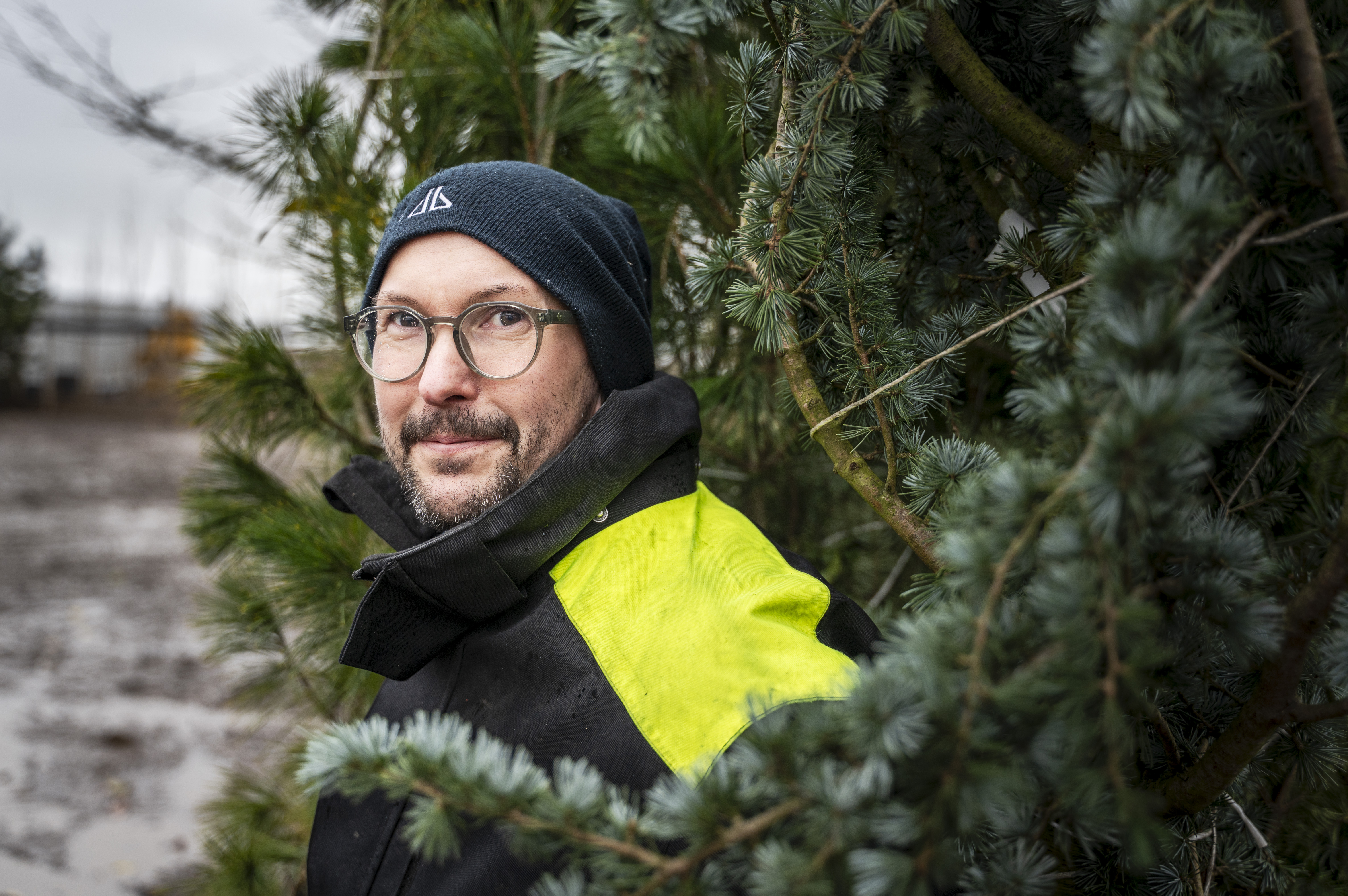 En person med glasögon, en mörk mössa och en svartgul jacka står utomhus bredvid några grangrenar en mulen dag.