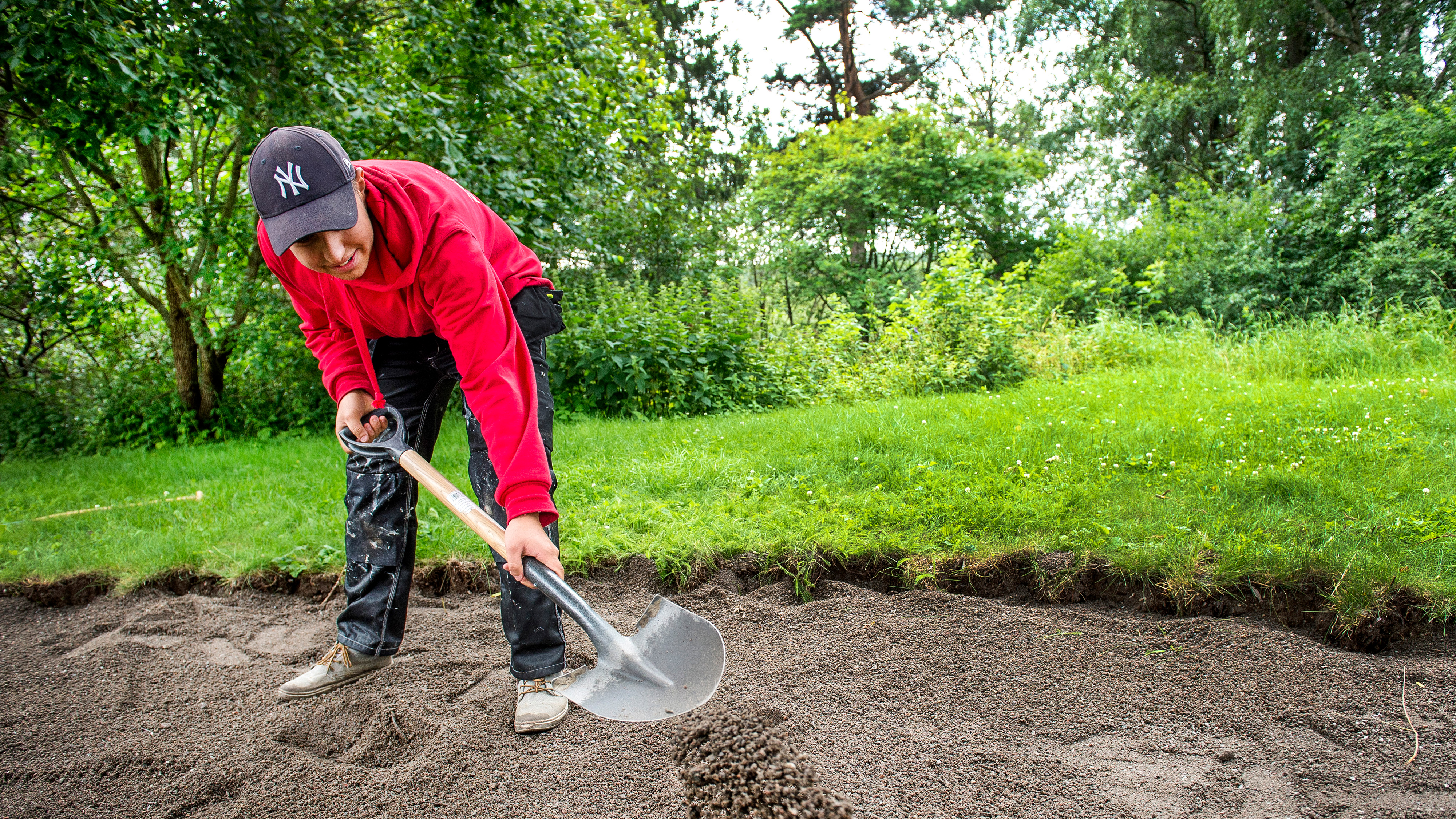 En person som bär en röd luvtröja och svart hatt använder en spade för att sprida smuts och grus på marken mellan träd utomhus.
