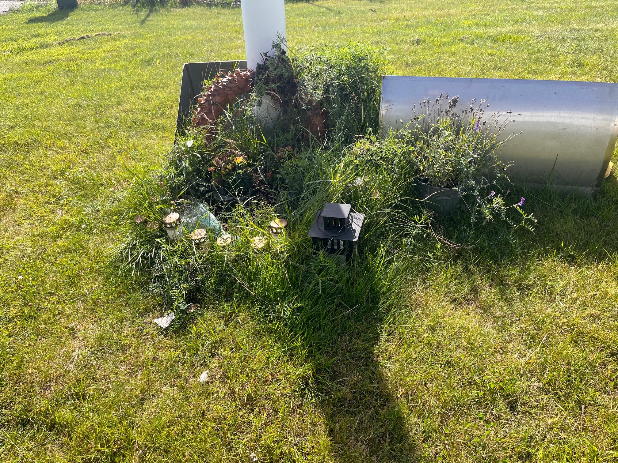 En metallstång ligger på gräset, omgiven av växter och små solcellslampor.
