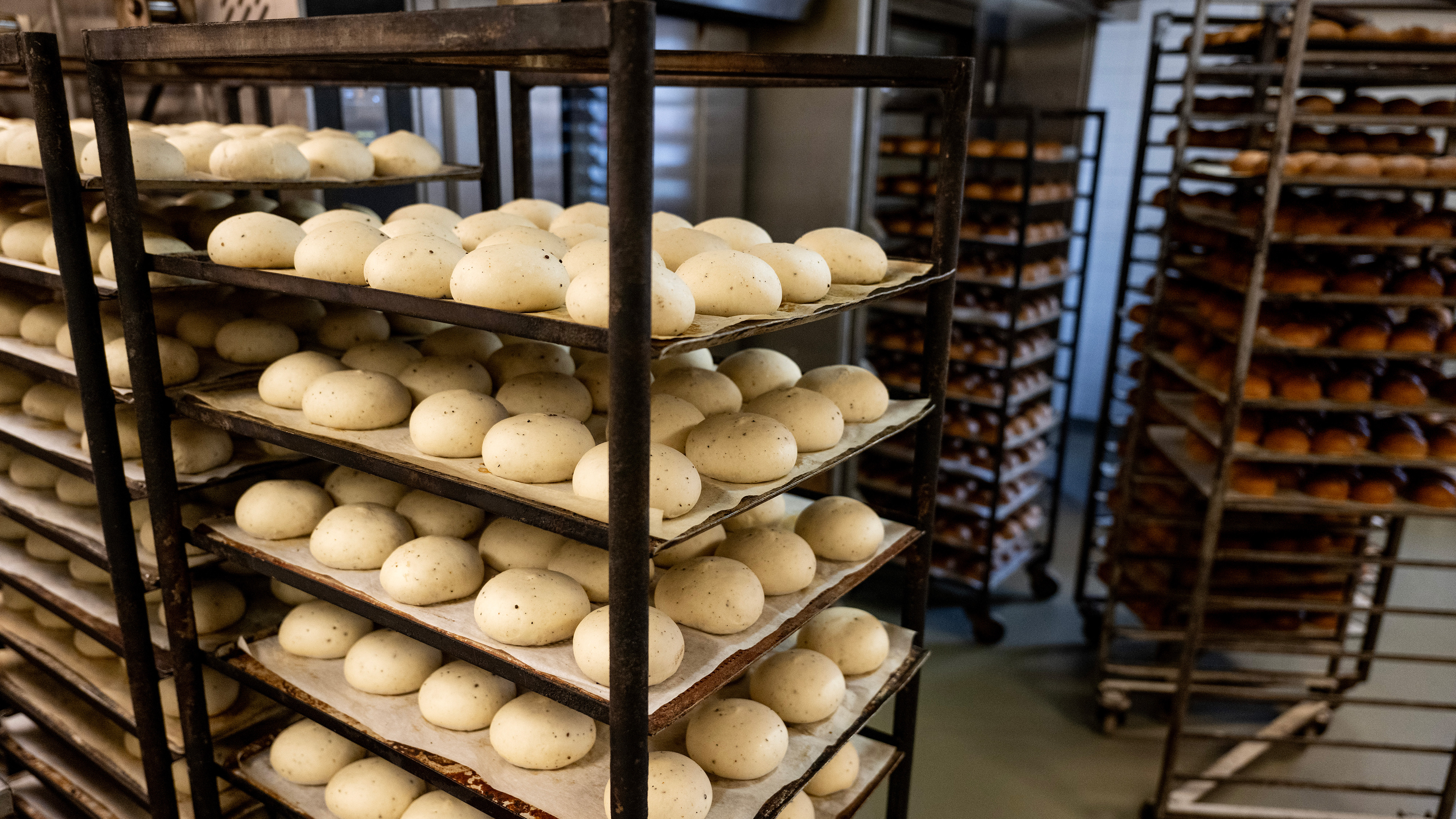 Metallställ i ett bageri håller plåtar med jästa degbollar, med fler ställ med bröd synliga i bakgrunden.