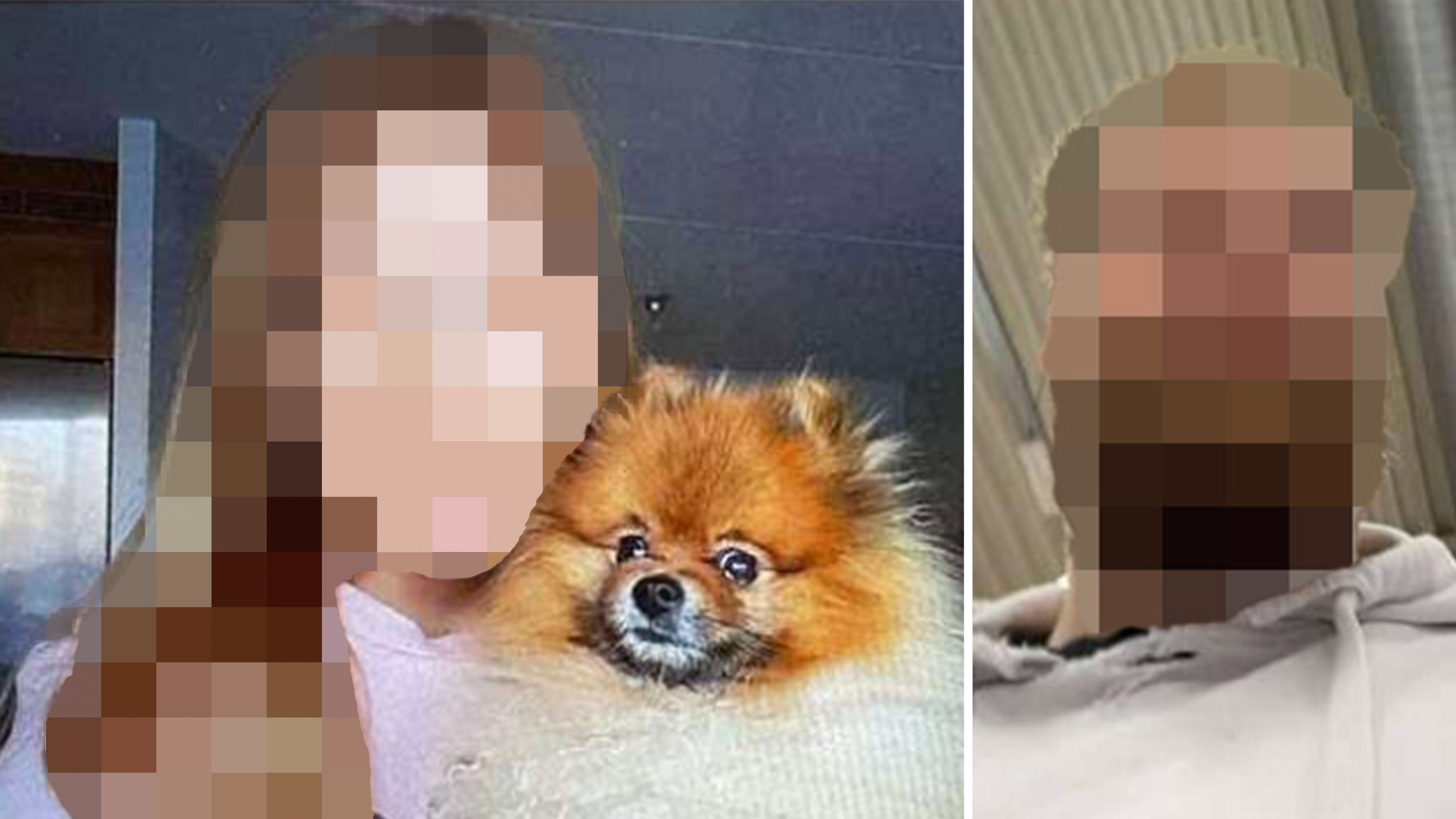 Du kan se en kvinna som håller i en liten hund till vänster och en man till höger. Alla ansikten är pixlade för att skydda integriteten.