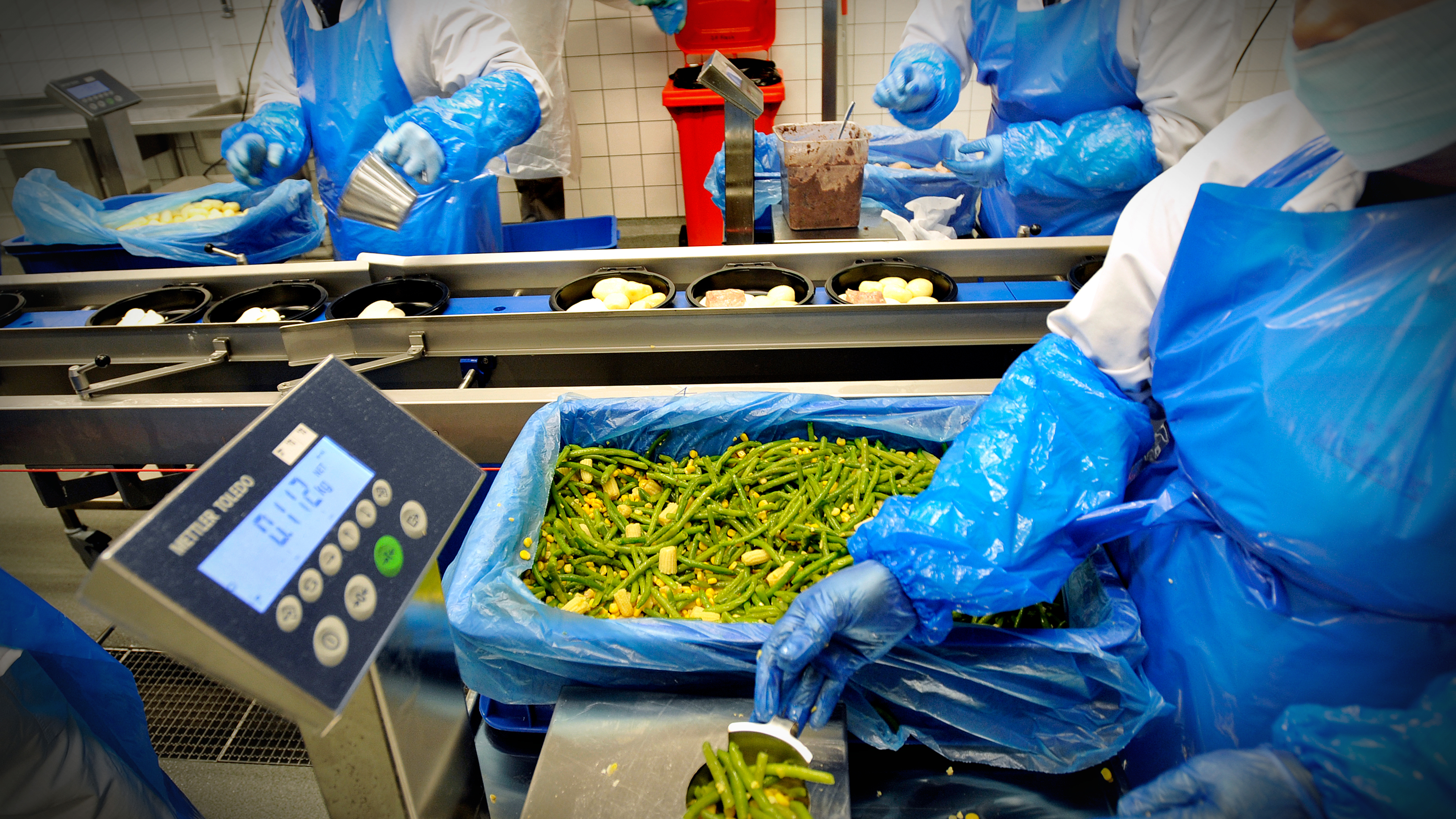 Arbetare i skyddskläder och handskar förbereder och väger haricots verts för paketering på ett livsmedelsband.