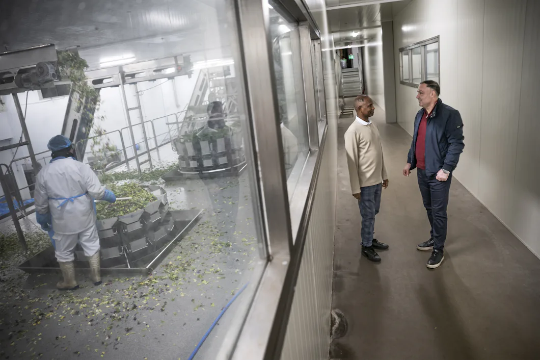 Två personer pratar i en hall bredvid ett fönster som vetter mot en livsmedelsfabrik där arbetare hanterar bladgrönsaker.
