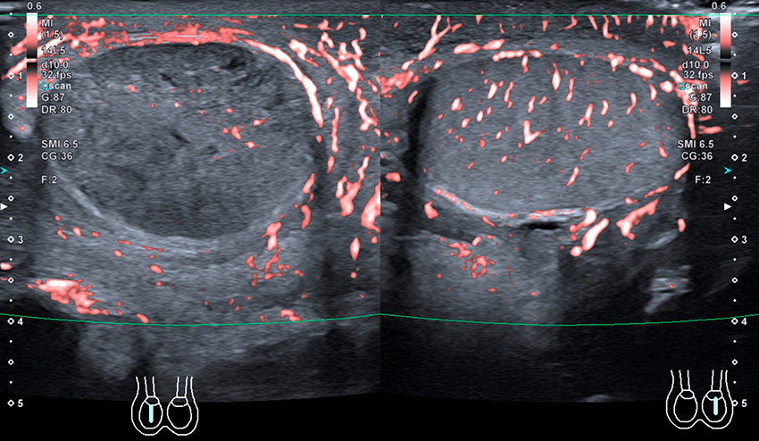 Kimga mushukimni yalashiga ruxsat berishim kerak?