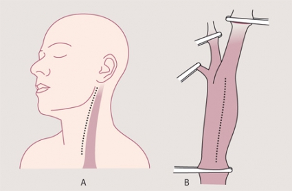 Porno dahshatli hikoyalar Chiroyli sexy yalangoch qiz video