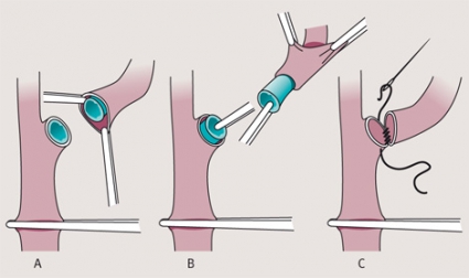 Paypoq kiygan ayollar porno onlayn Rus porno videosini tomosha qiling: Onam qolga tushdi