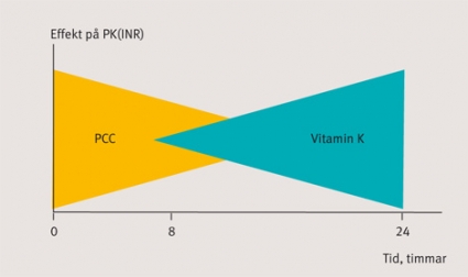 Onlayn porno ushlandi va qoshildi