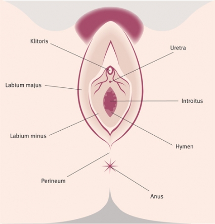 Kavkaz qizlari jinsiy porno