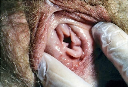 Golf maydonida paypoqda jinsiy aloqa