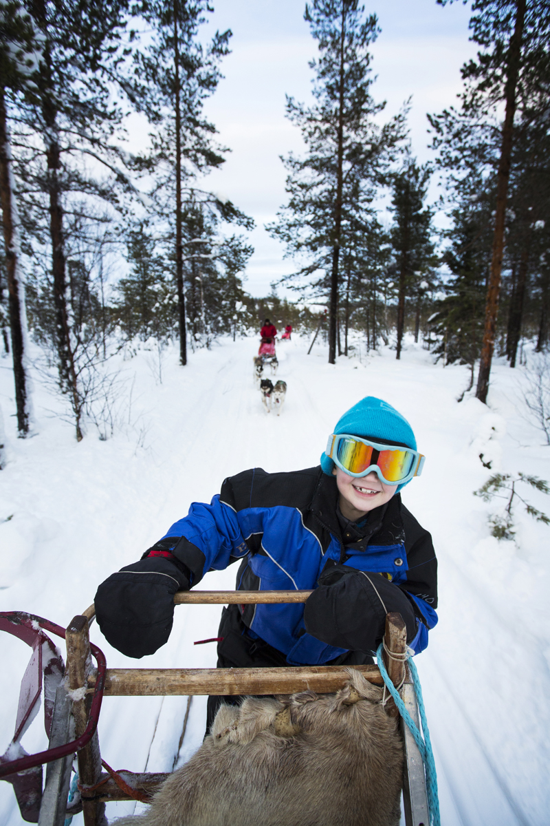 Hundspann, Vindelälven, Aurora Borealis adventure