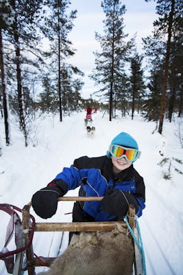 Hundspann, Vindelälven, Aurora Borealis adventure