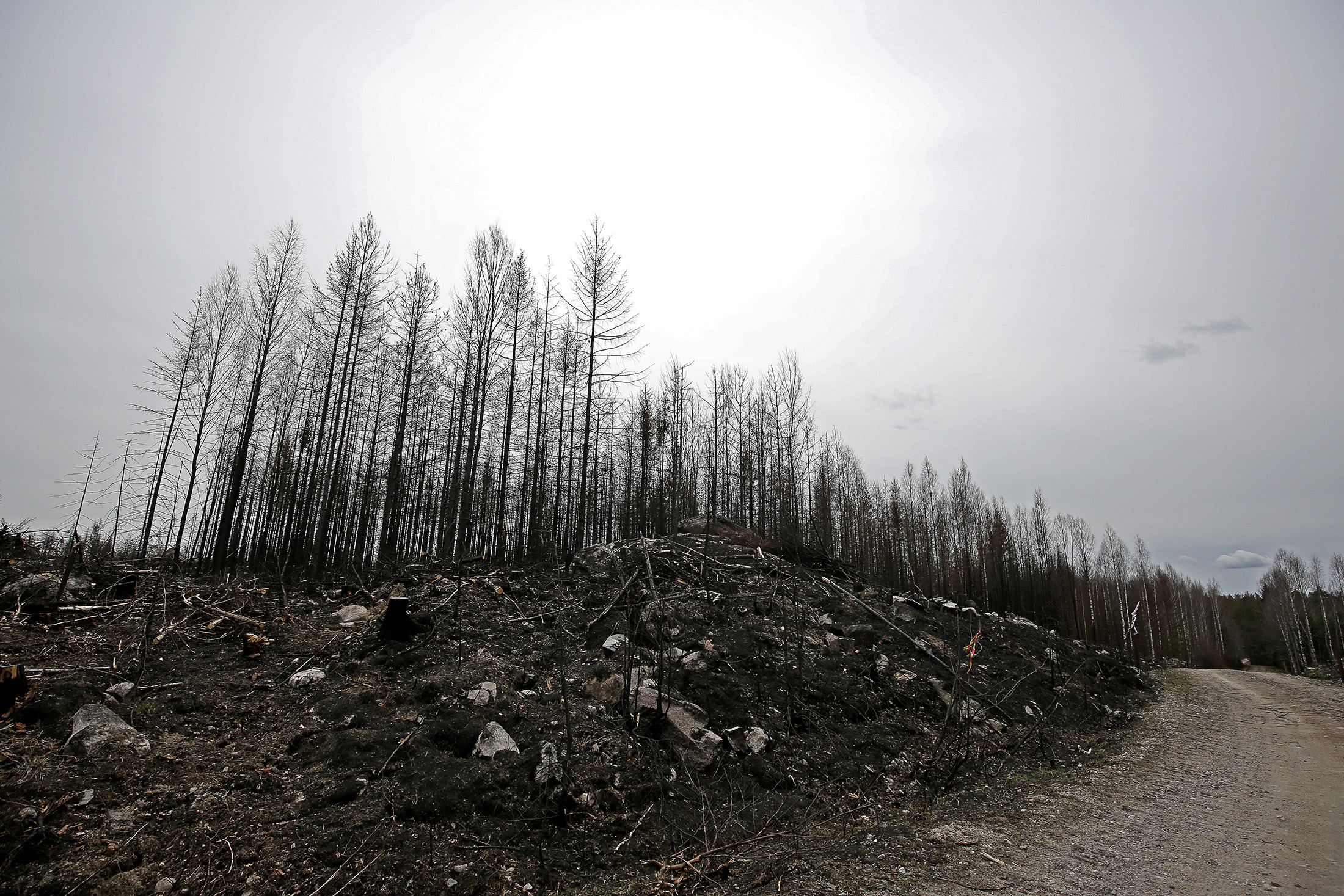 Brandområdet i Västmanland