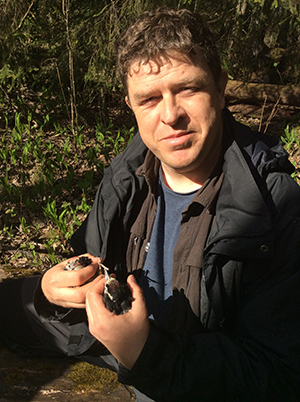 Kristoffer Stighäll med ett par vitryggsungar under ringmärkningen. Foto: Vitryggsprojektet