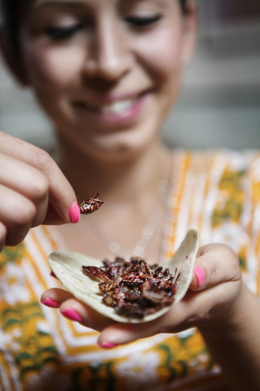 Lily Ramirez visar hur man äter restaurangen Guelaguetzas gräshoppstacos.