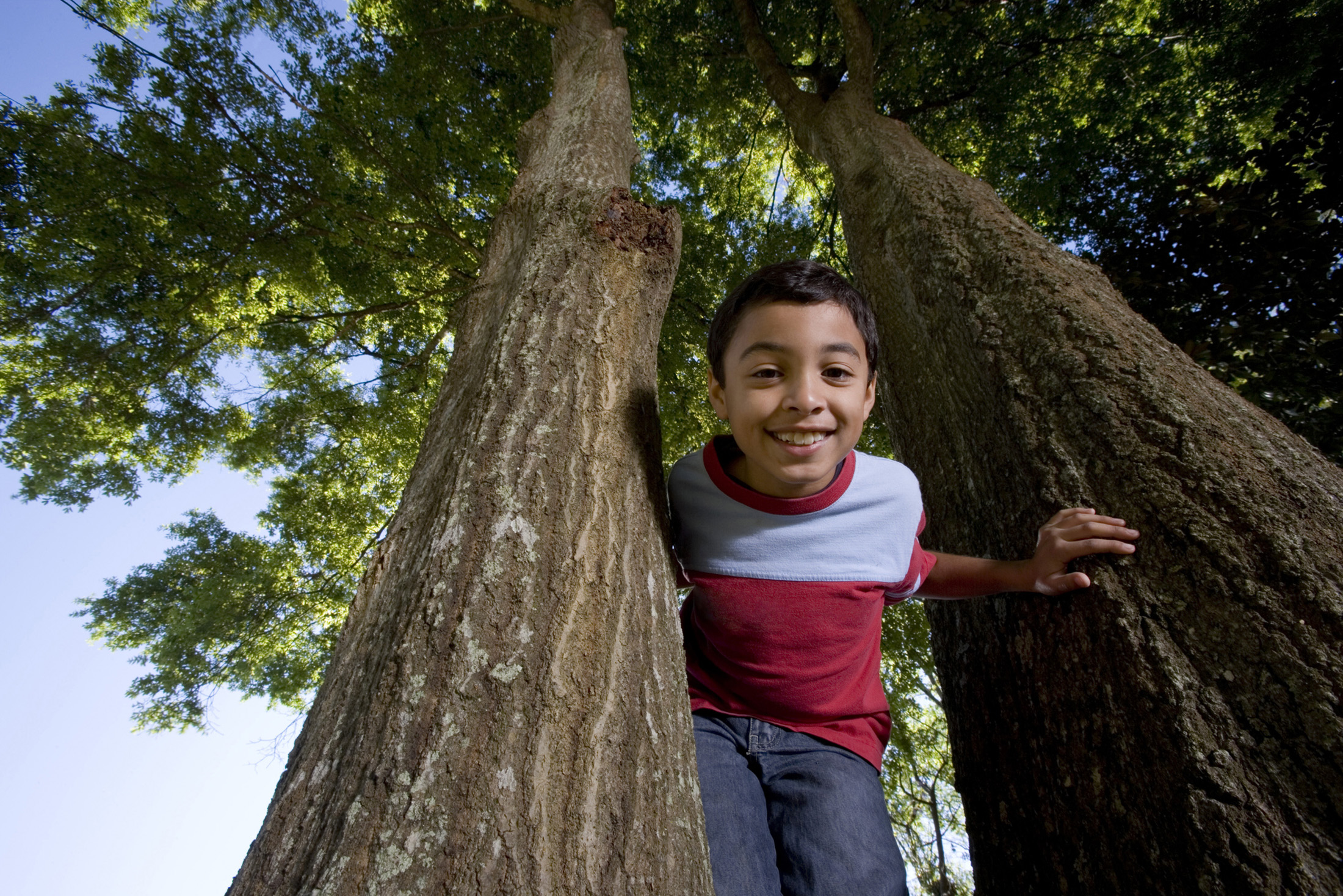 Portrait of a cheerful boy smiling amid trees