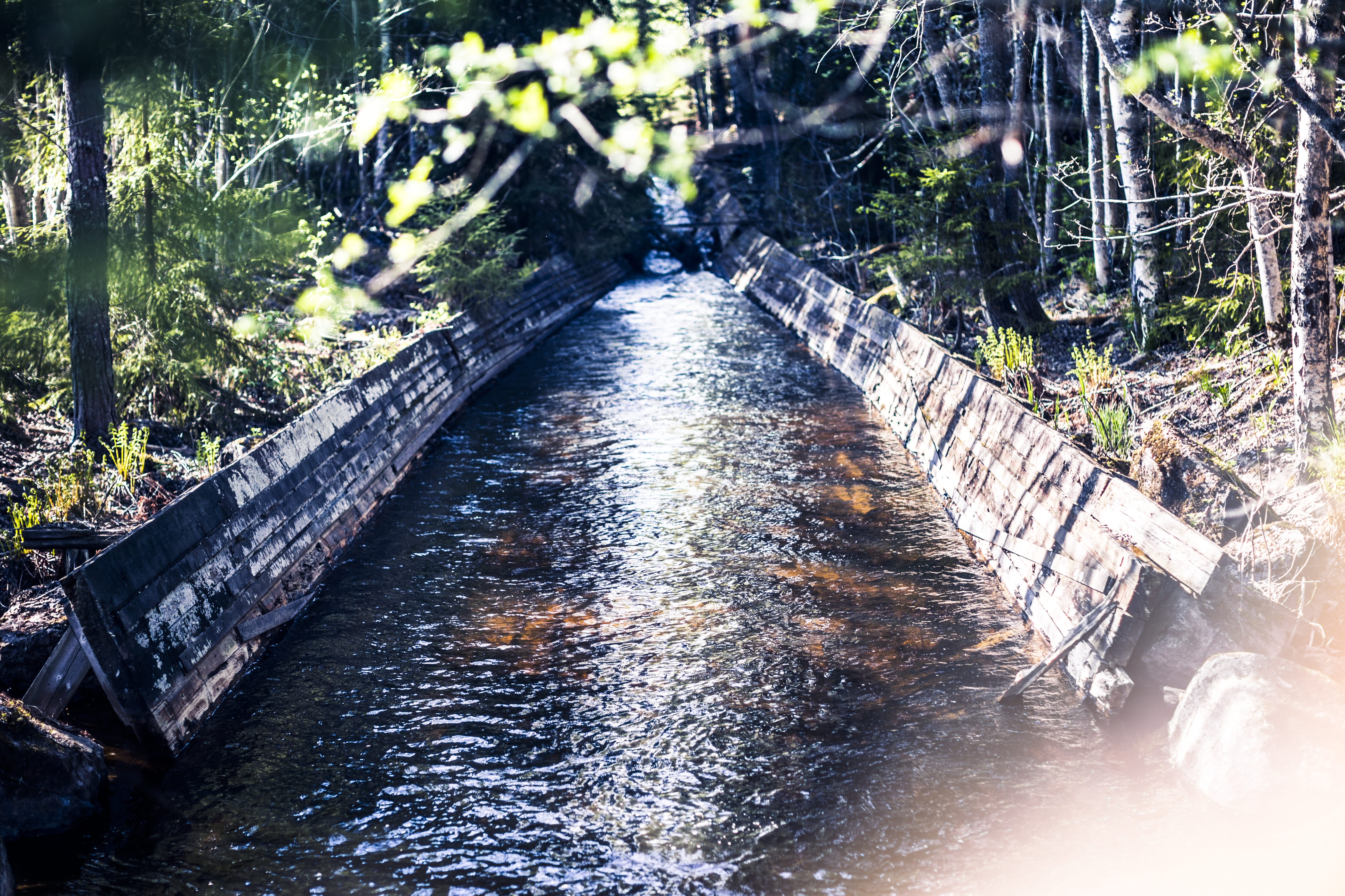 Ingen fisk hittar in i dagens fisktrappa.