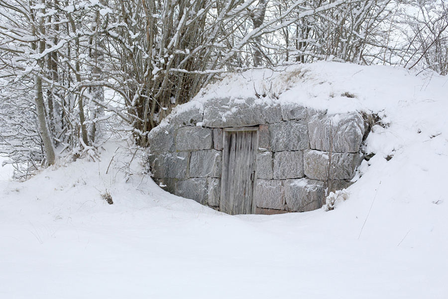 Renoverad dörr fick fladdermössen att återvända till den här jordkällaren nära Fänneslunda. Det får inte bli för kallt. 