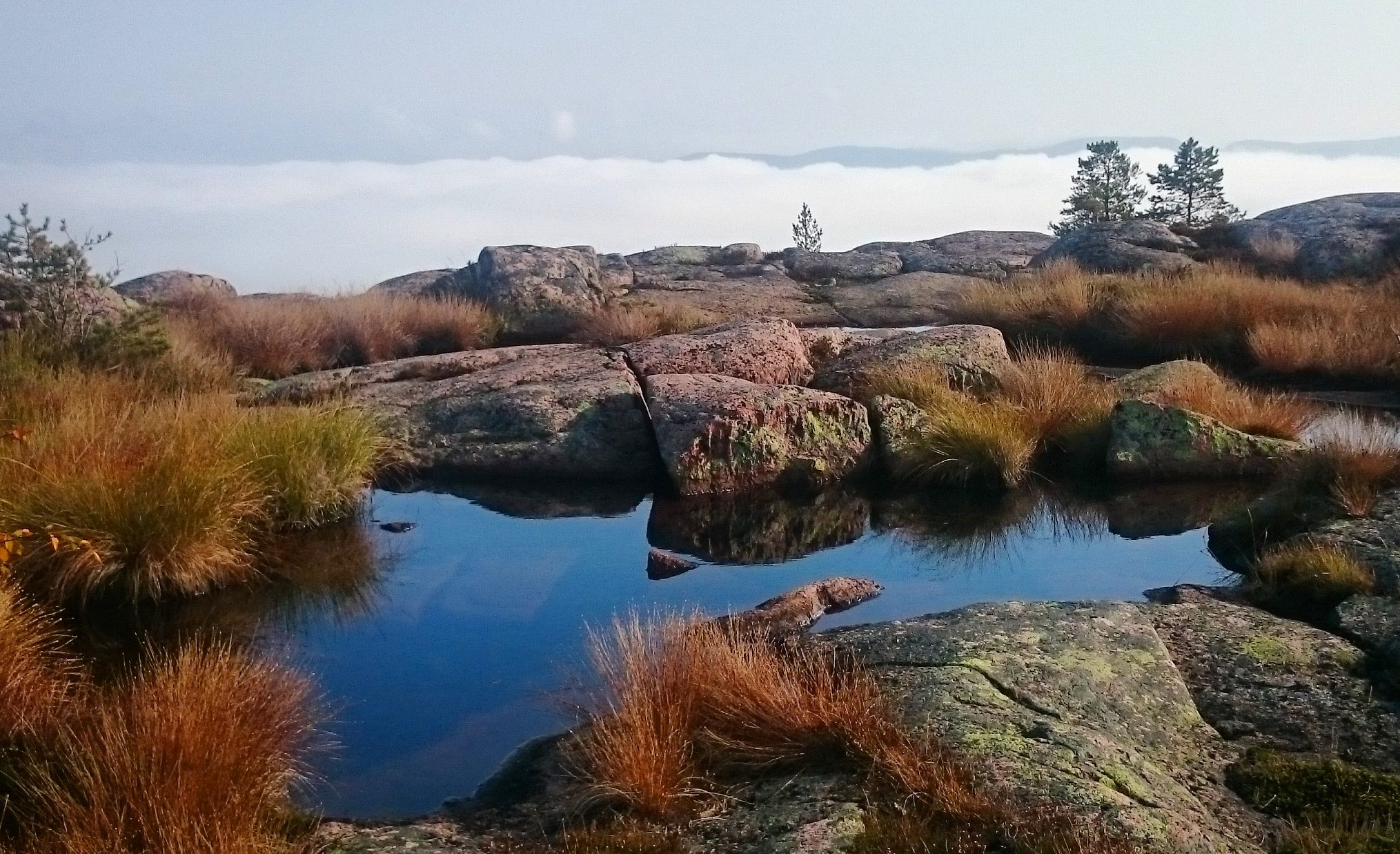 Höga kusten är bästa stället i världen att se landhöjningens effekter. Foto Mats Hellmark