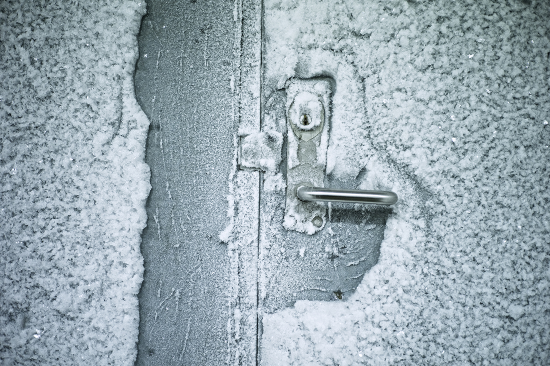 Fröerna förvaras bakom fyra låsta dörrar.