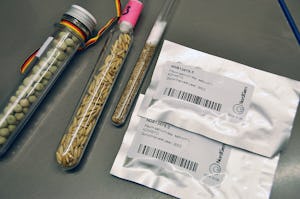 fr-som-blir-oppbevart-i-svalbard-globale-frhvelv_21711571121_o