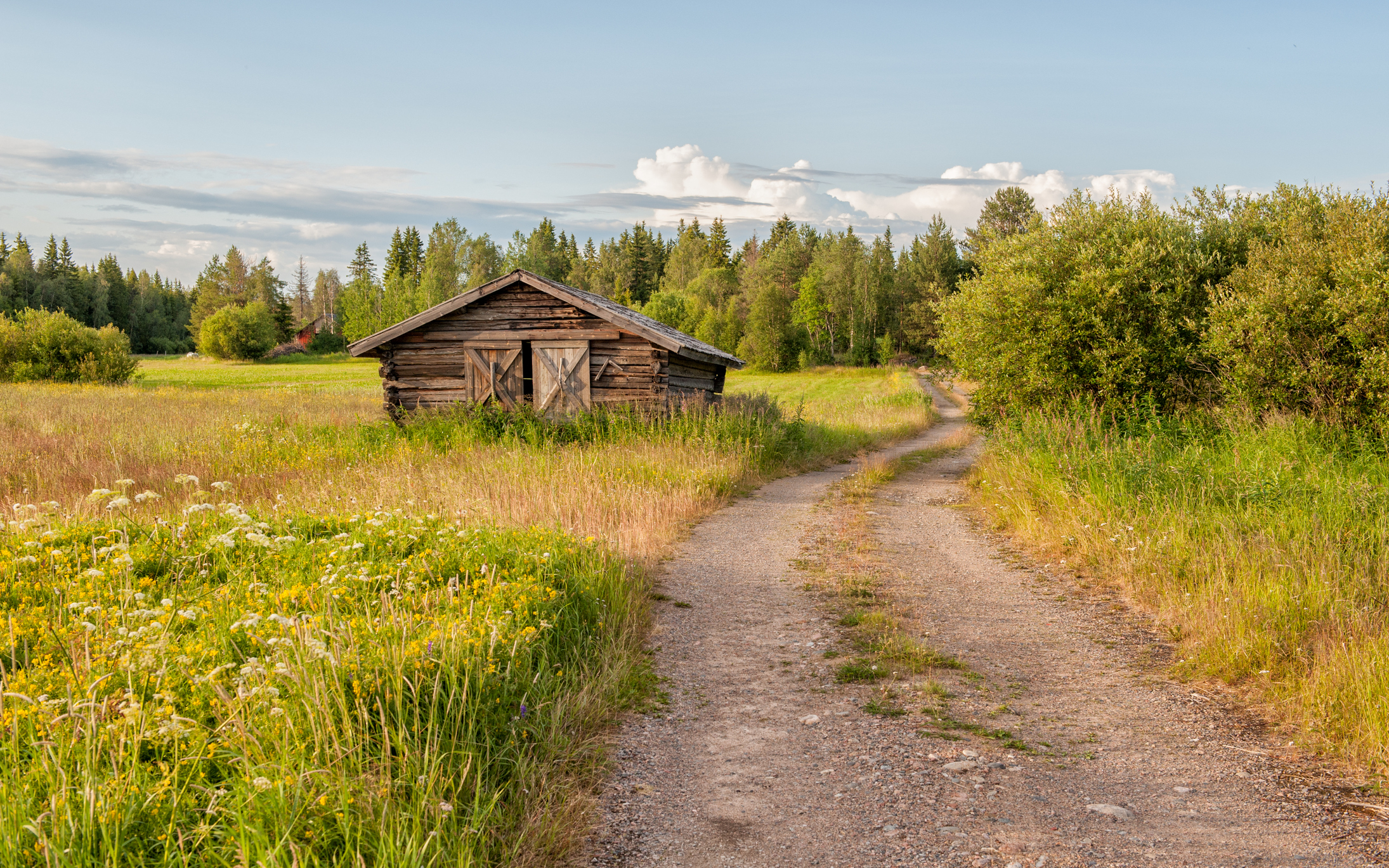 Summer in northern Sweden